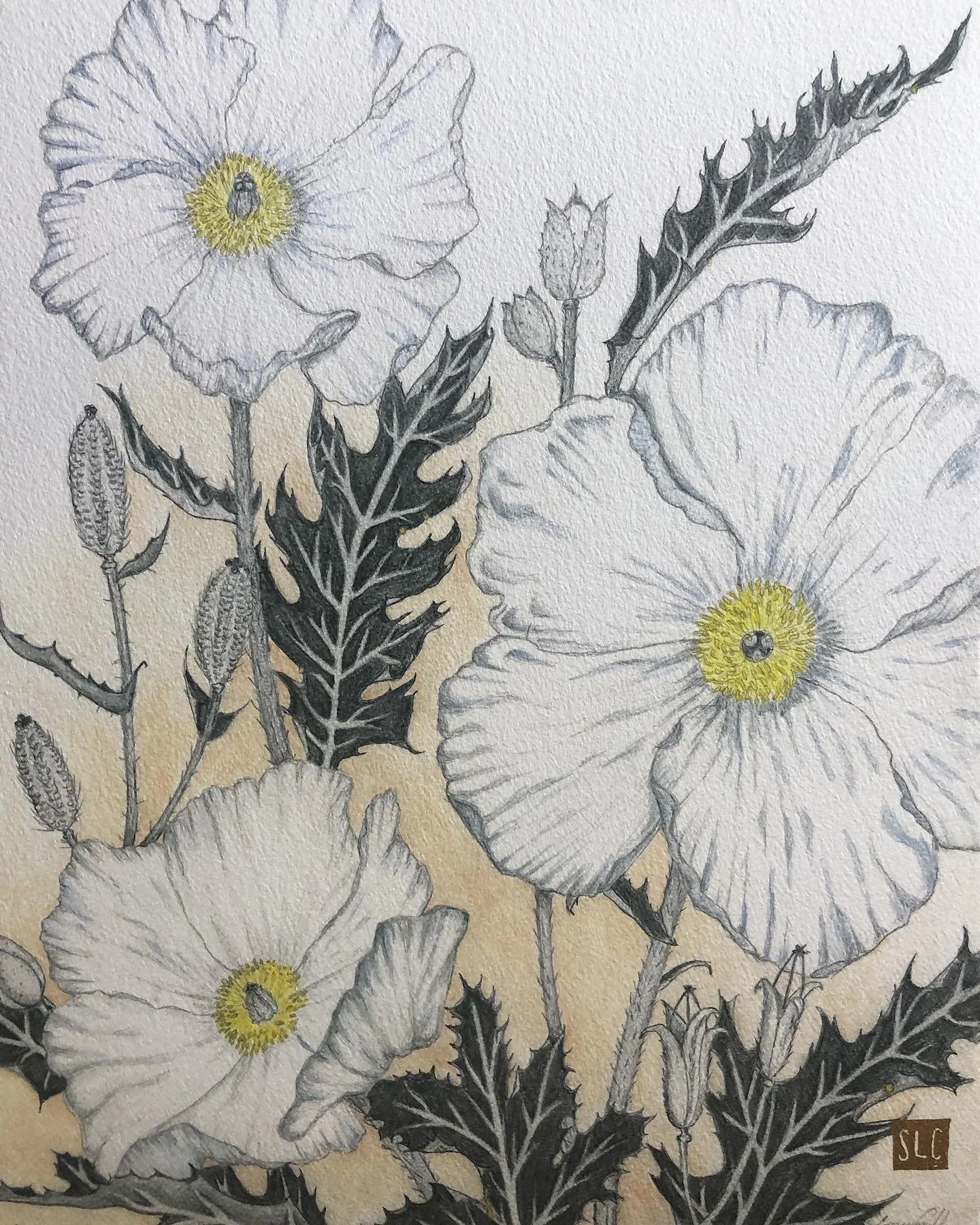 Pua Kala close up.jpg