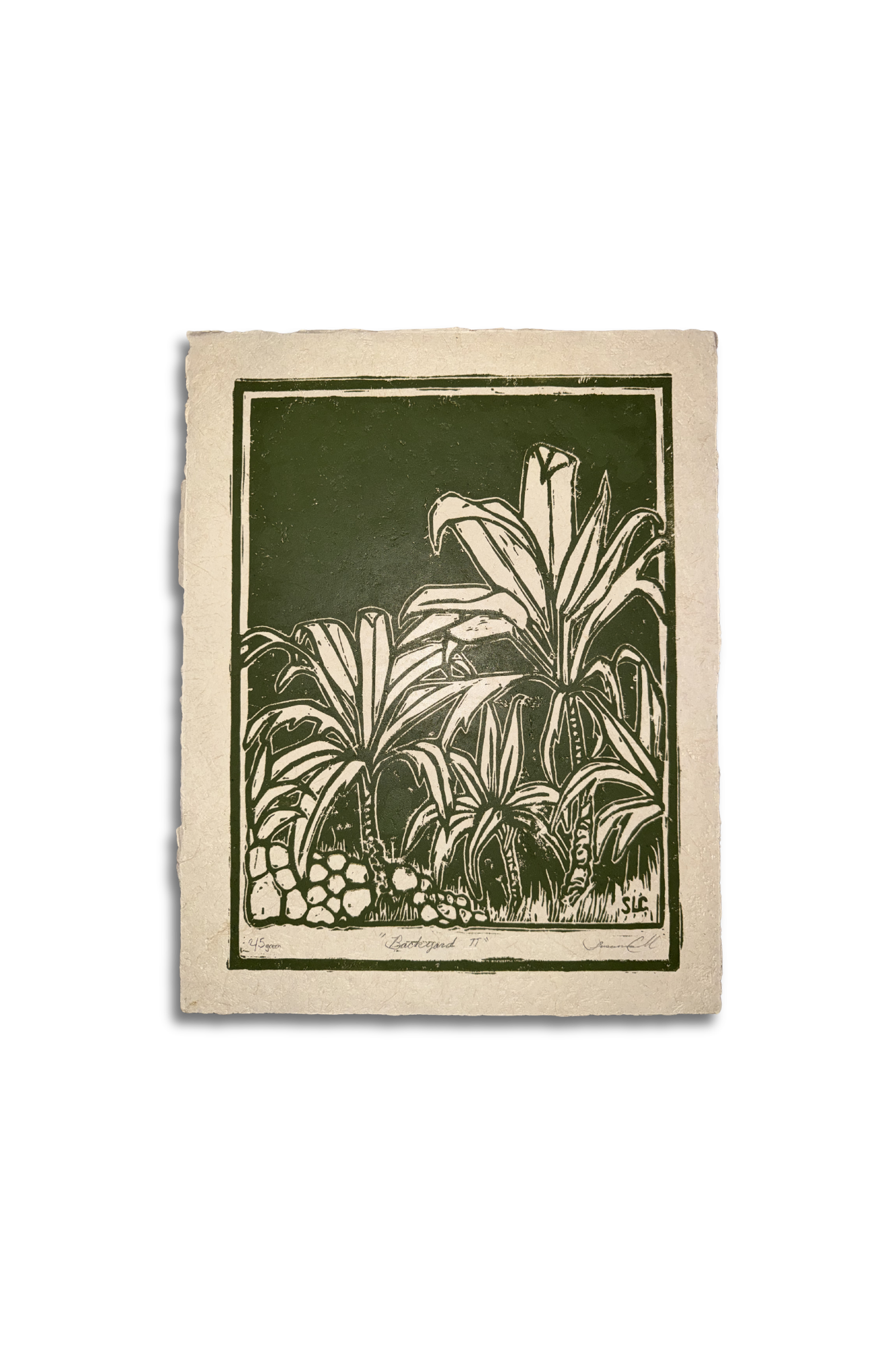 Backyard Ti • Green LIMITED.png