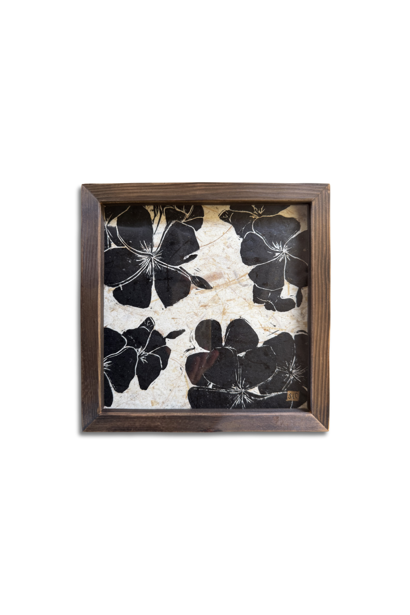 Flora by Night • Framed.png