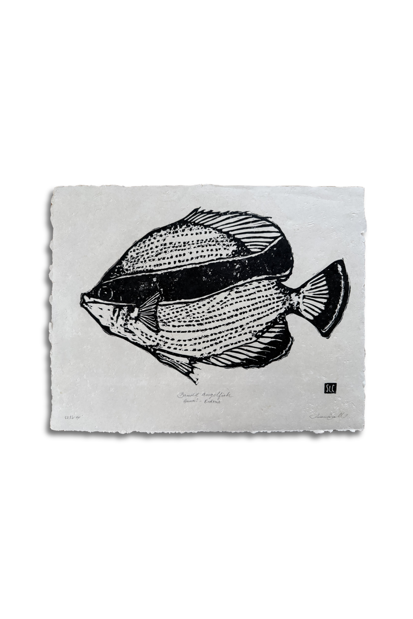 Bandit Angel Fish • Black on Cream.png