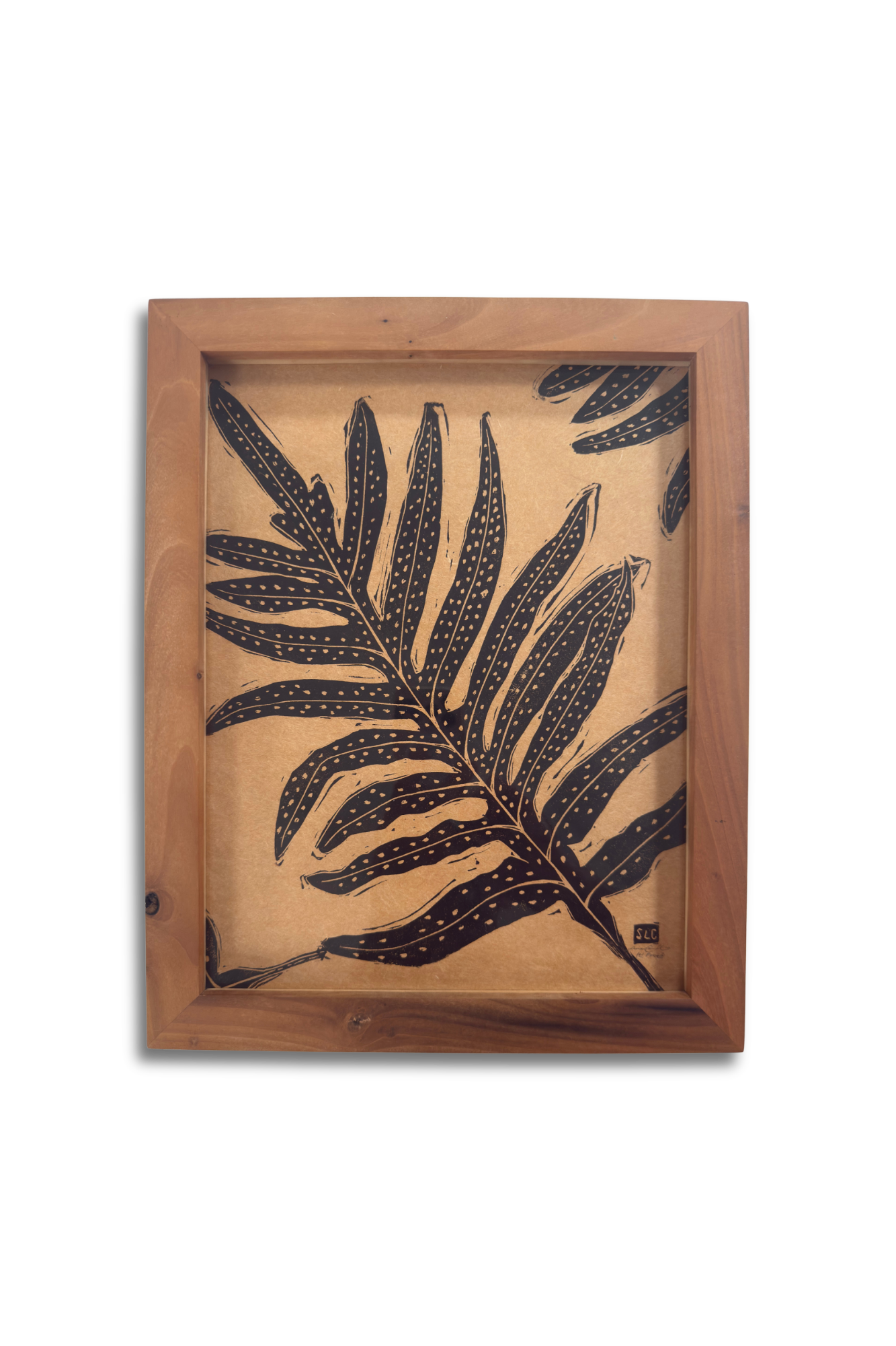FRAMED Laua'e (Microsorum scolopendria) - FIRST PROOF
