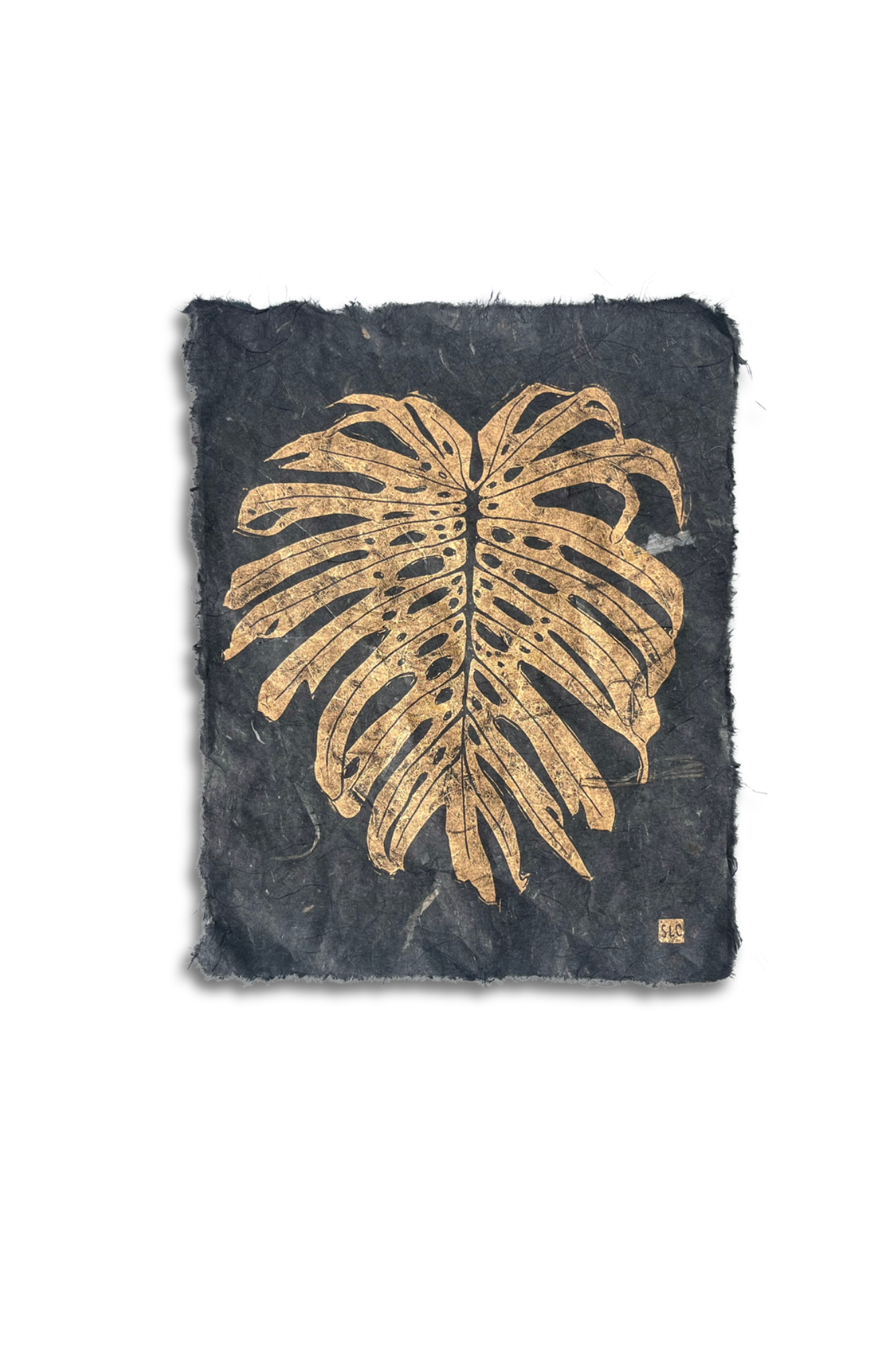 Golden Monstera-2.png