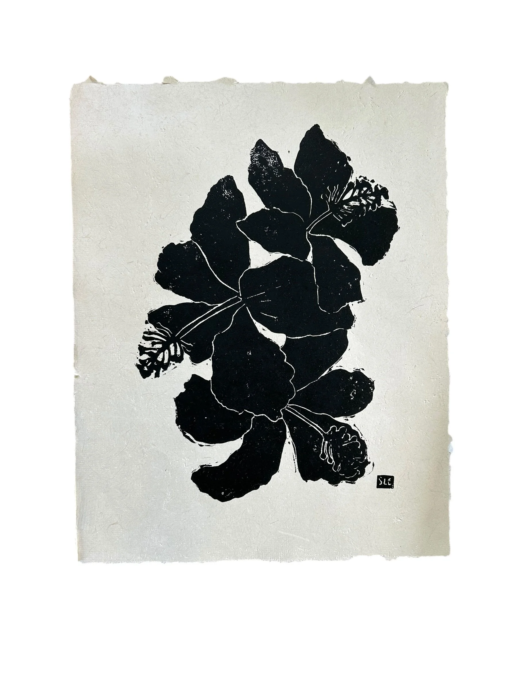 Three Blooms · Black on Cream