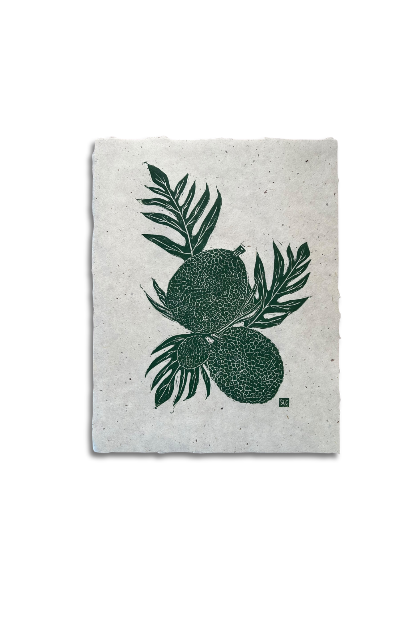 First of Many Harvests · Green