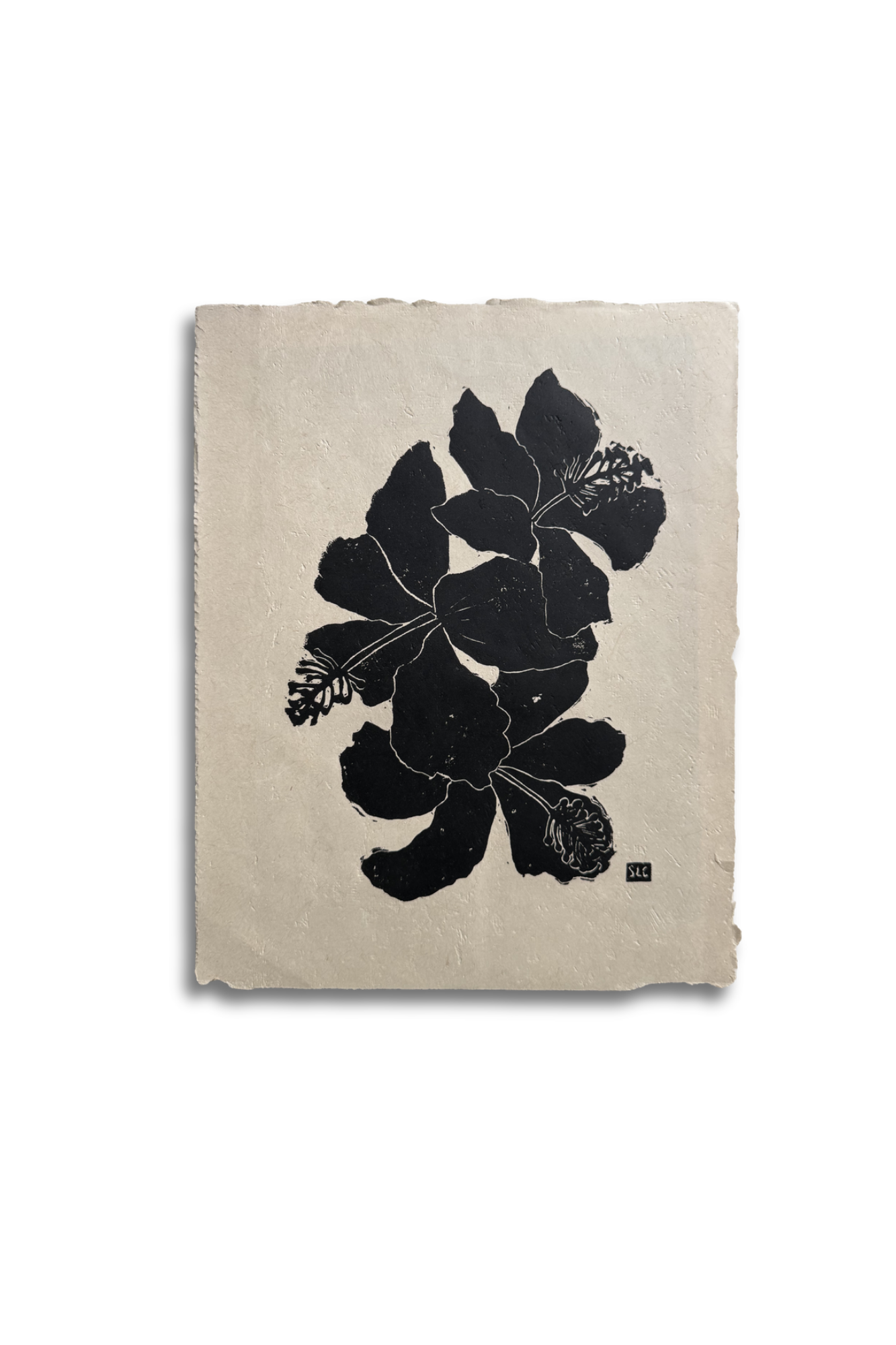 Three Blooms · Black on Cream