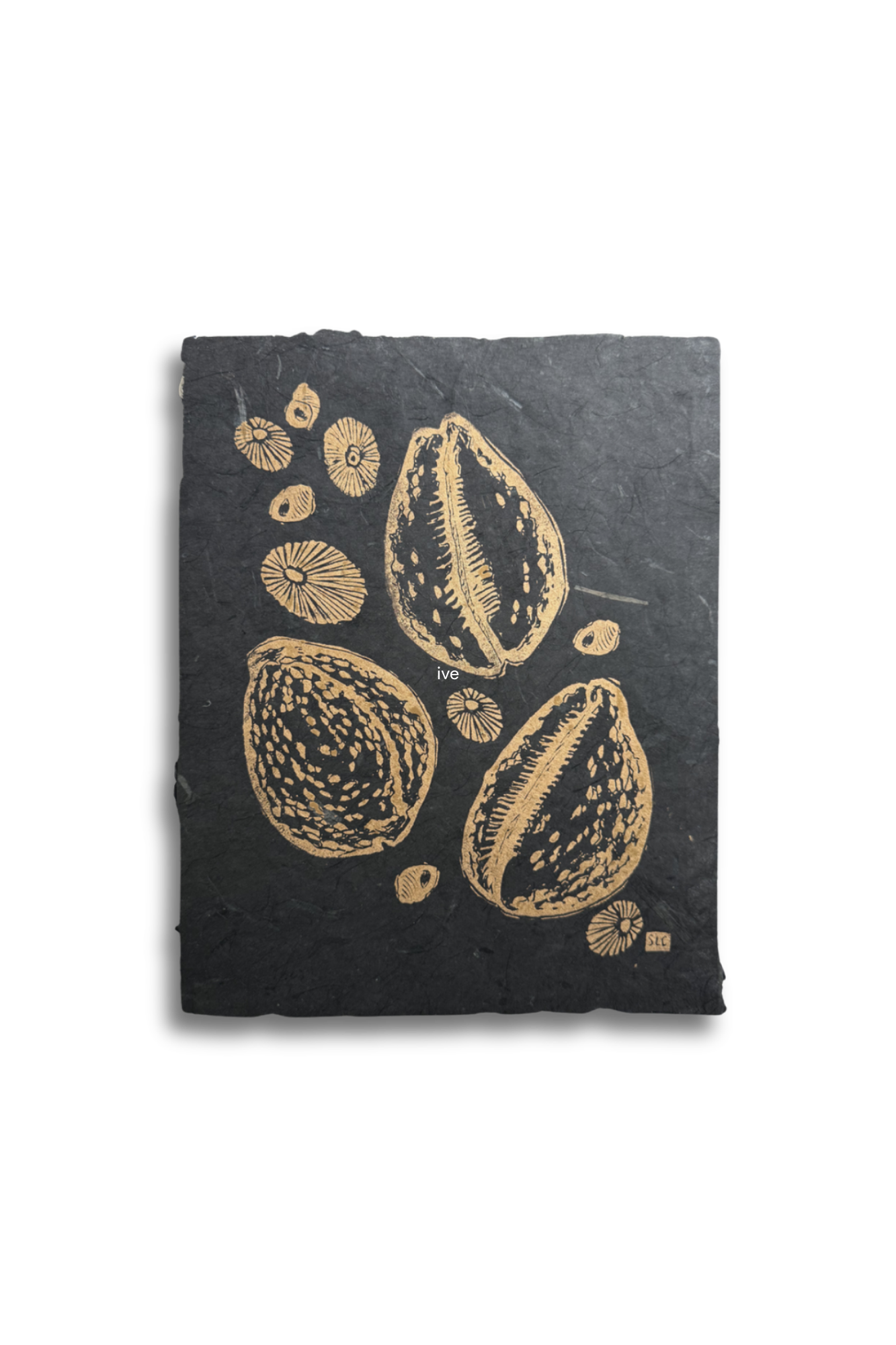 Tidepool Treasure • Gold on Black.png