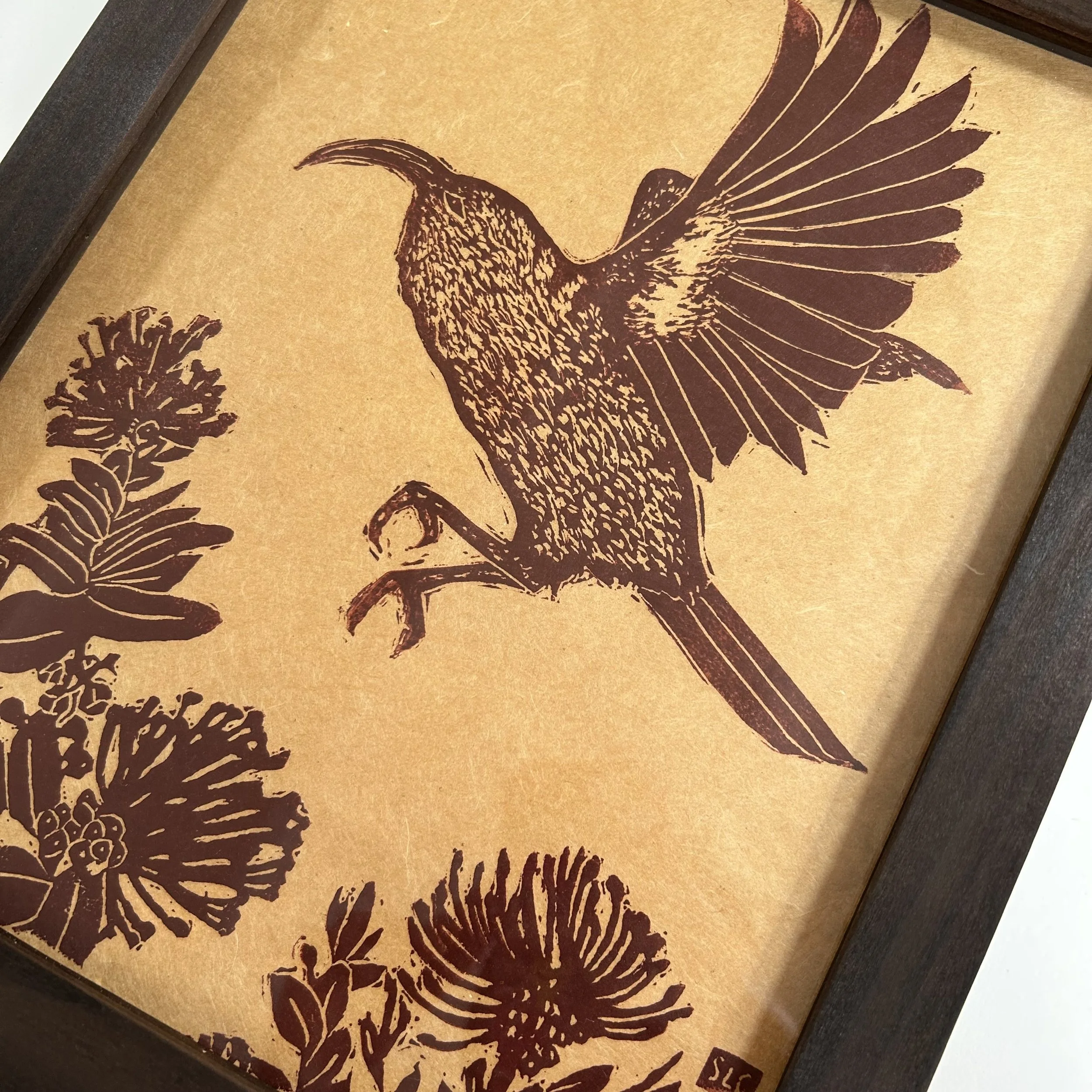 Iiwi in flight with Ohia Angle.jpg