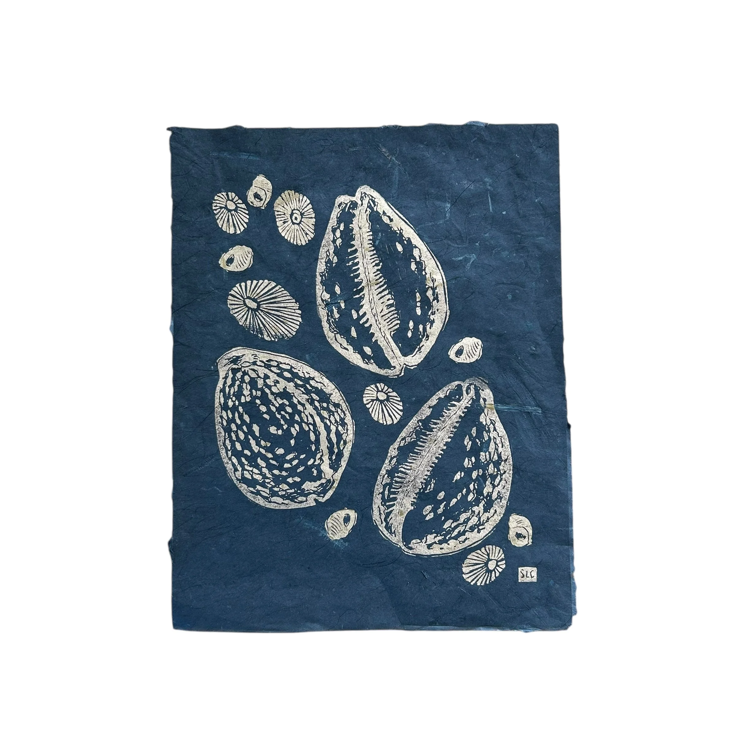 Tidepool Treasures Gold