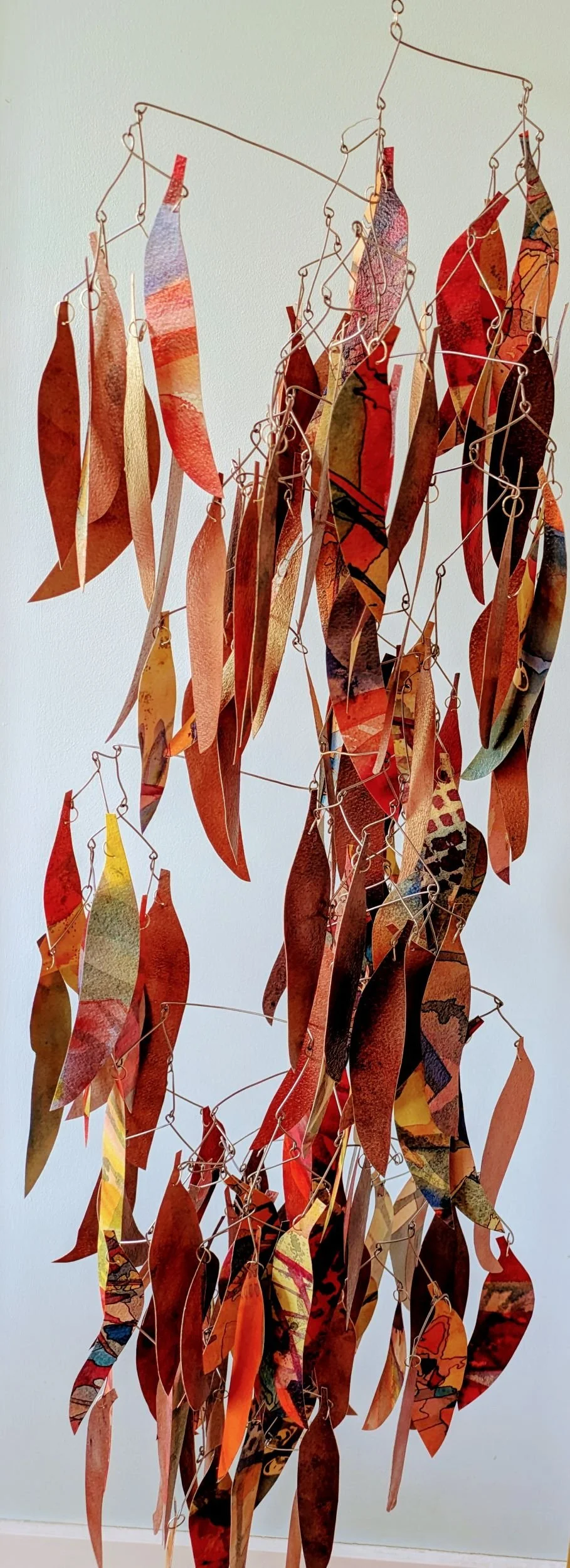 Whispers of an Ironbark