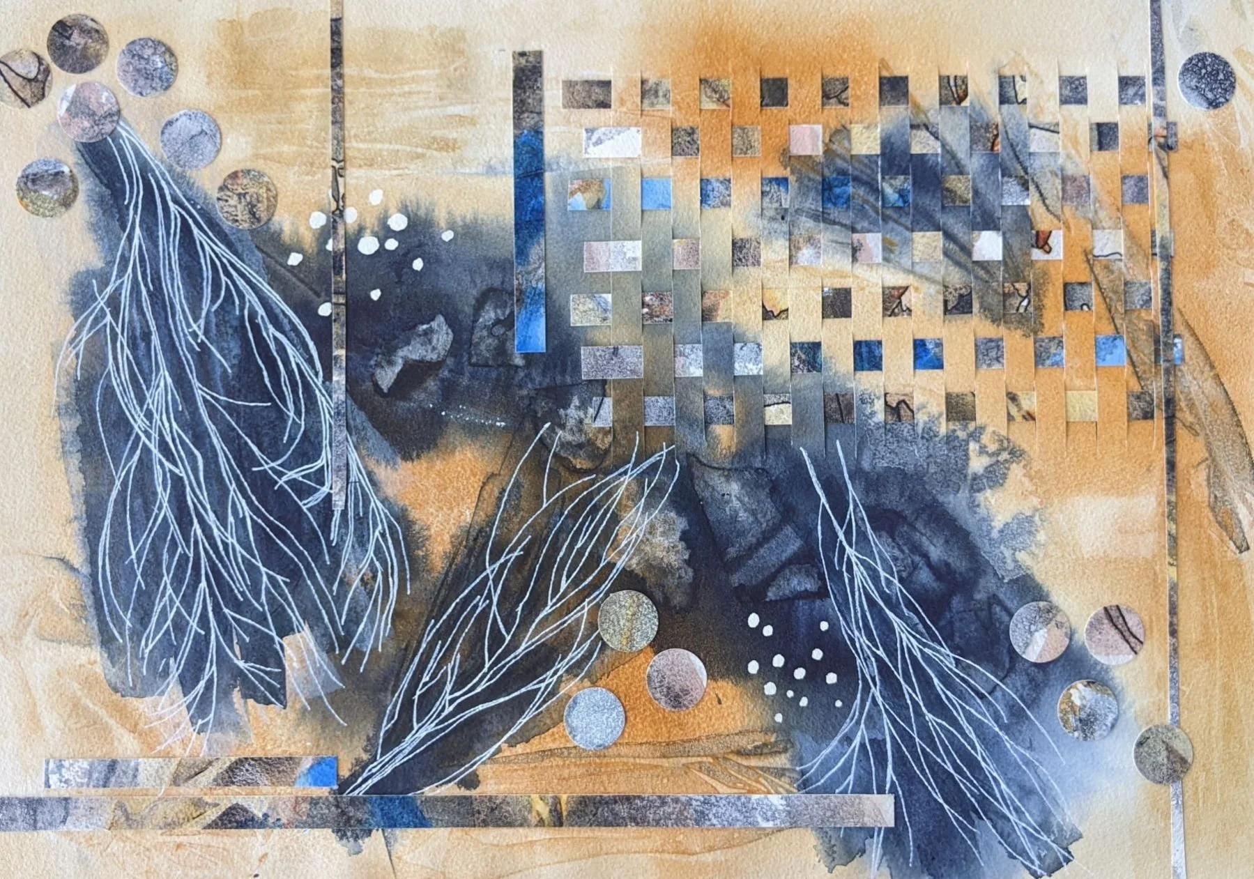 Sunlight through the Casuarinas