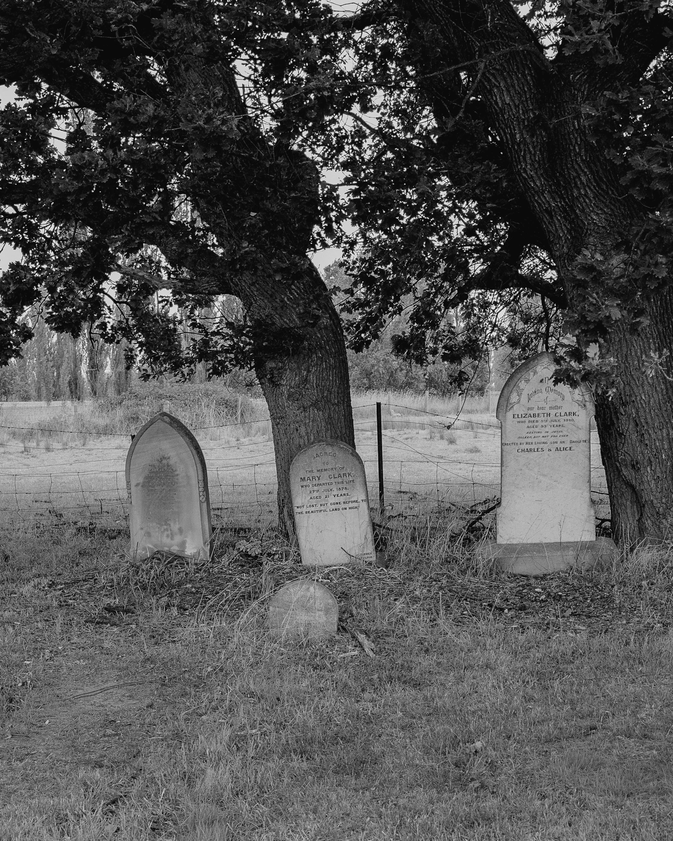 Cemetery by the Hume - Kodak Gold 200