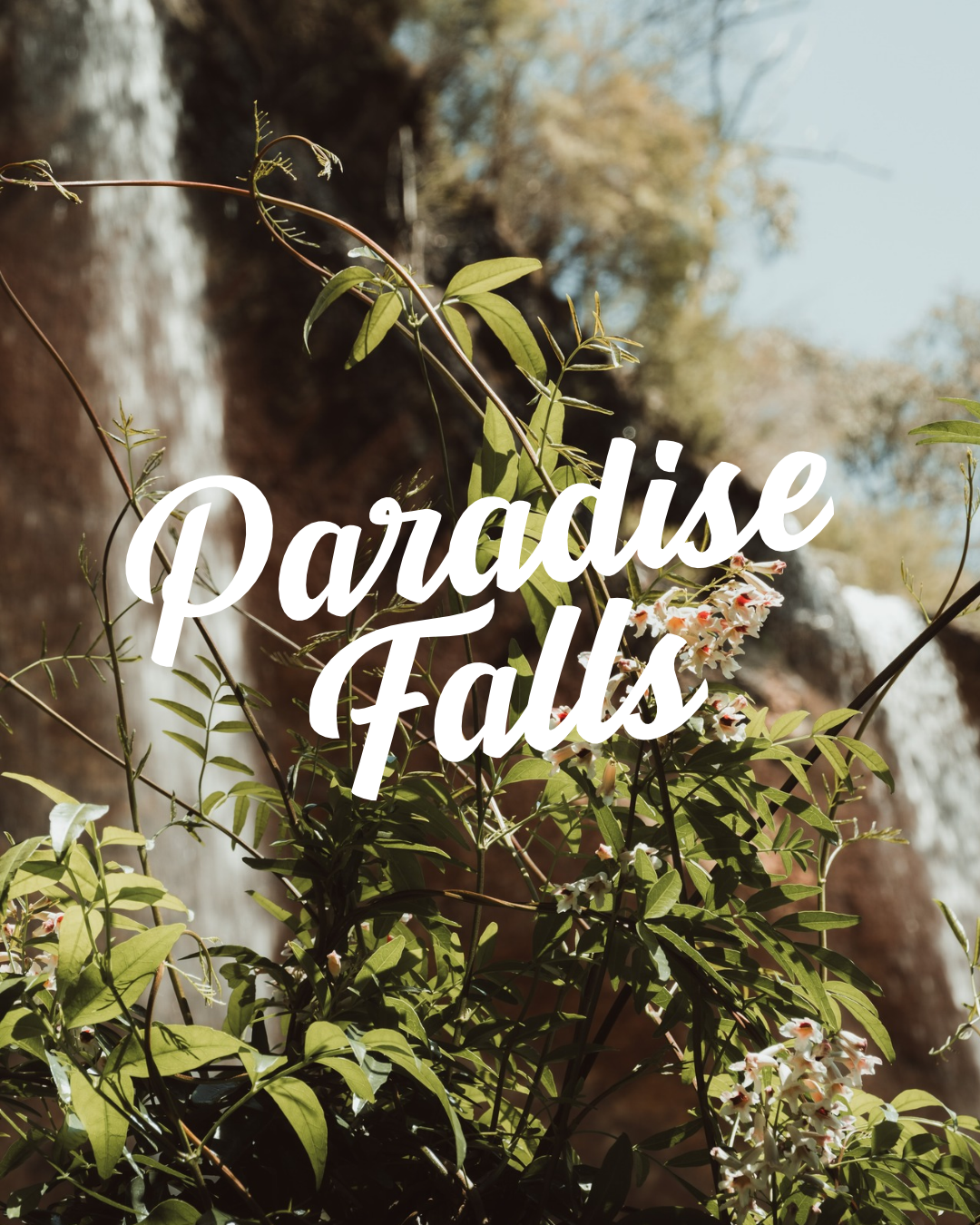 Instagram Covers(1).png
