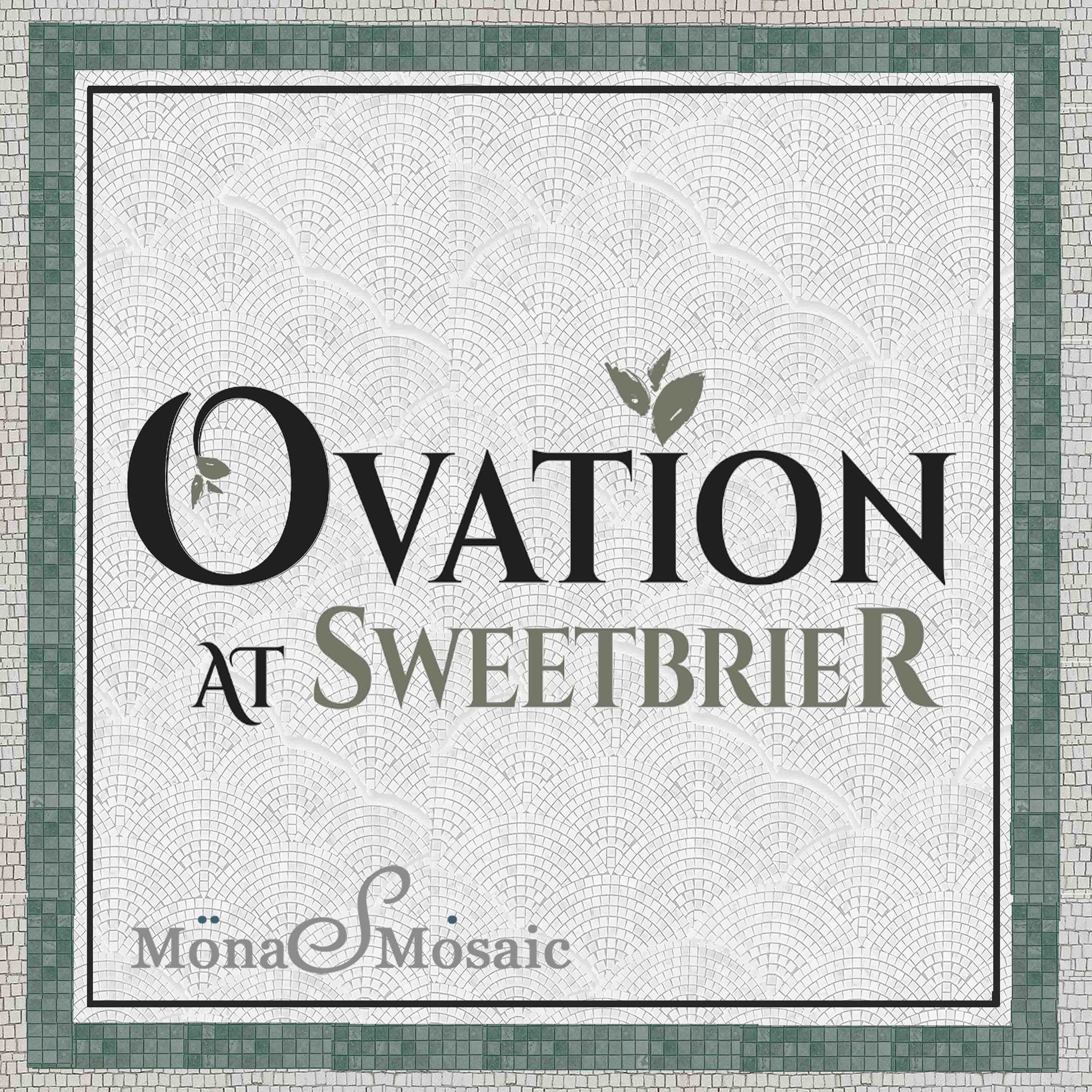 ovation copy 9x9 ft 1.jpg