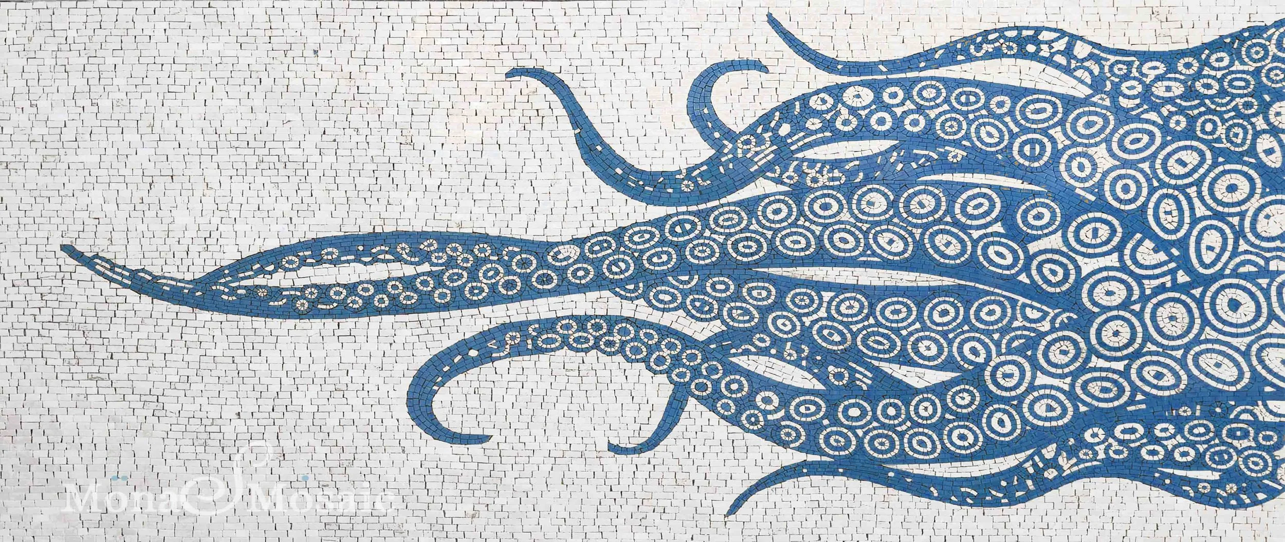 Tentacles of an octopus blue dark.jpg