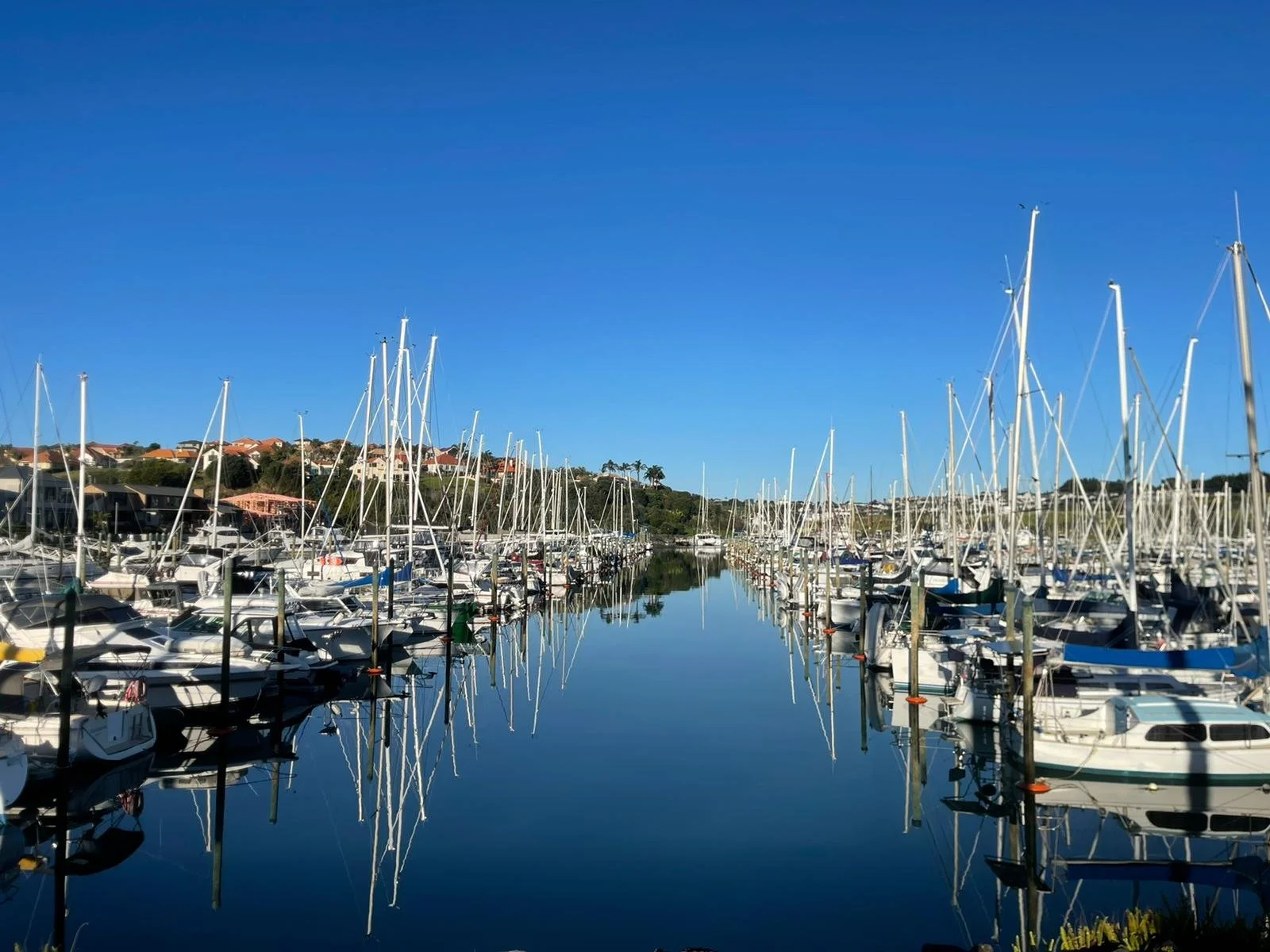 WhatsApp Image 2022-08-04 at 16.10.58.jpg