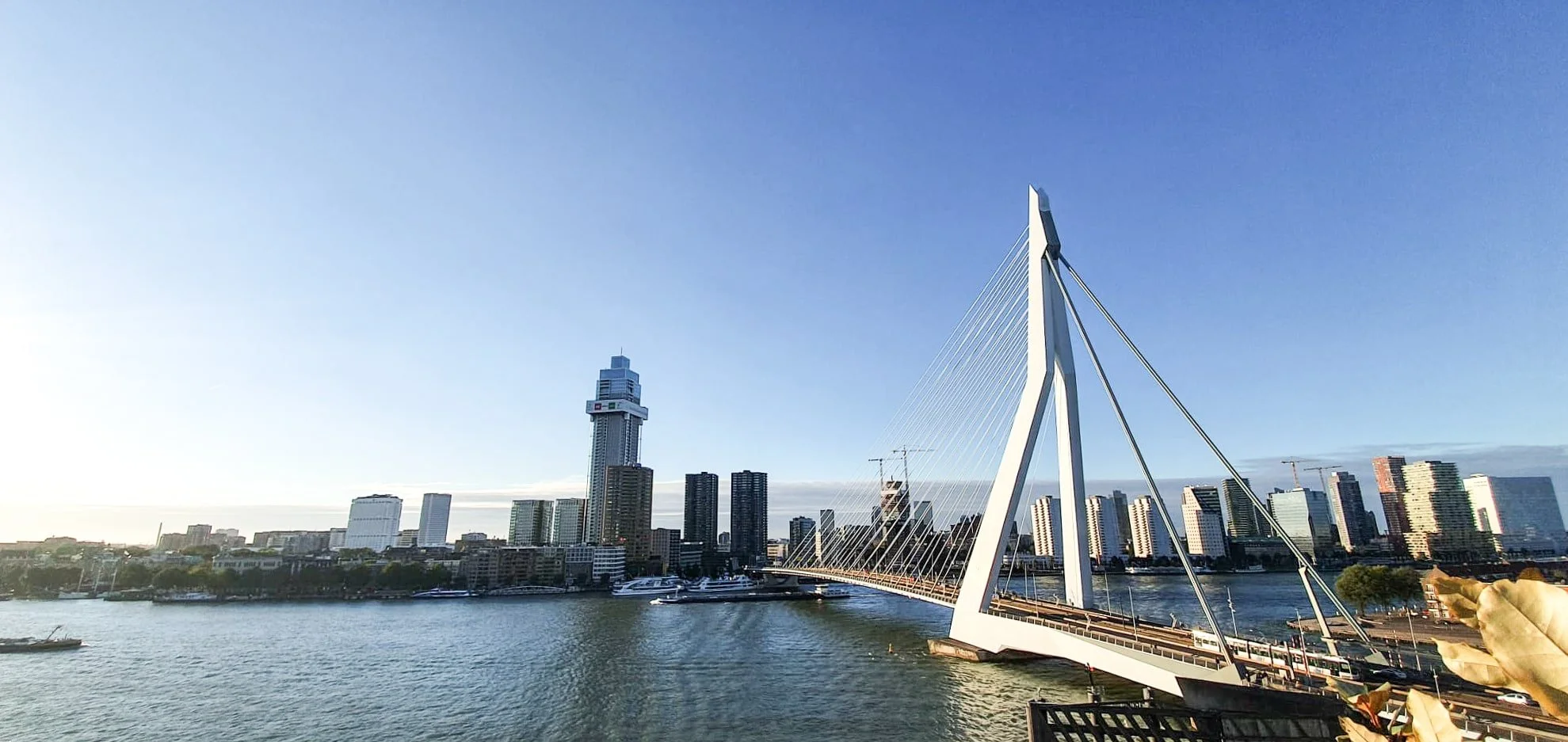 event-cruise-rotterdam-min.jpg