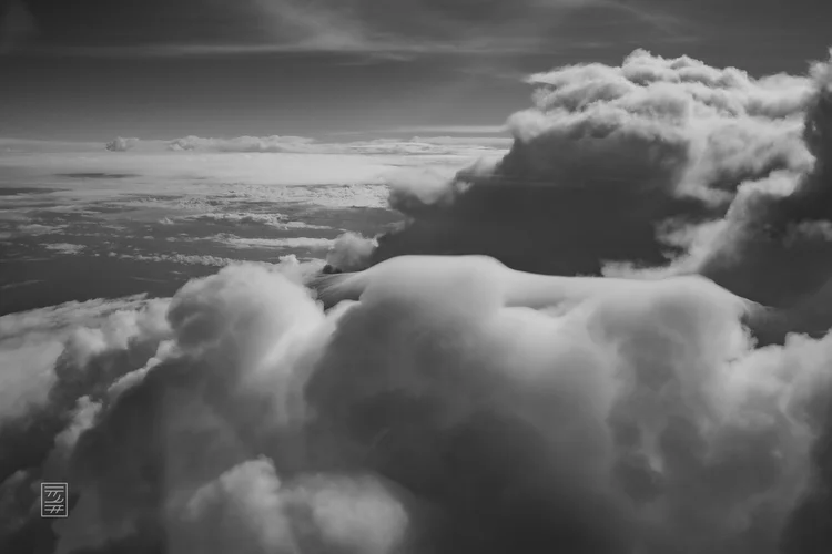 Voyages 499