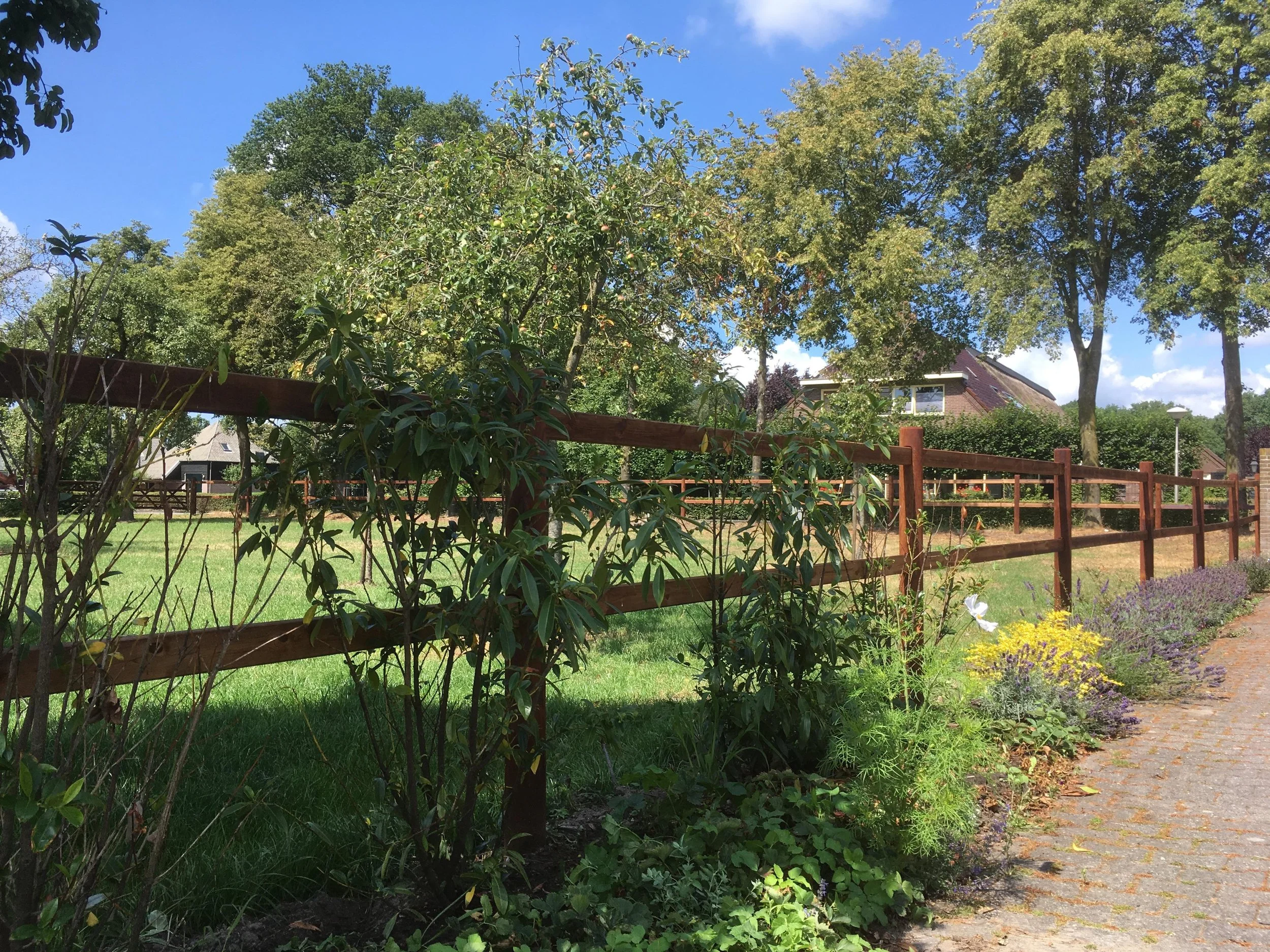 WhatsApp Image 2025-06-27 at 10.21.20.jpeg