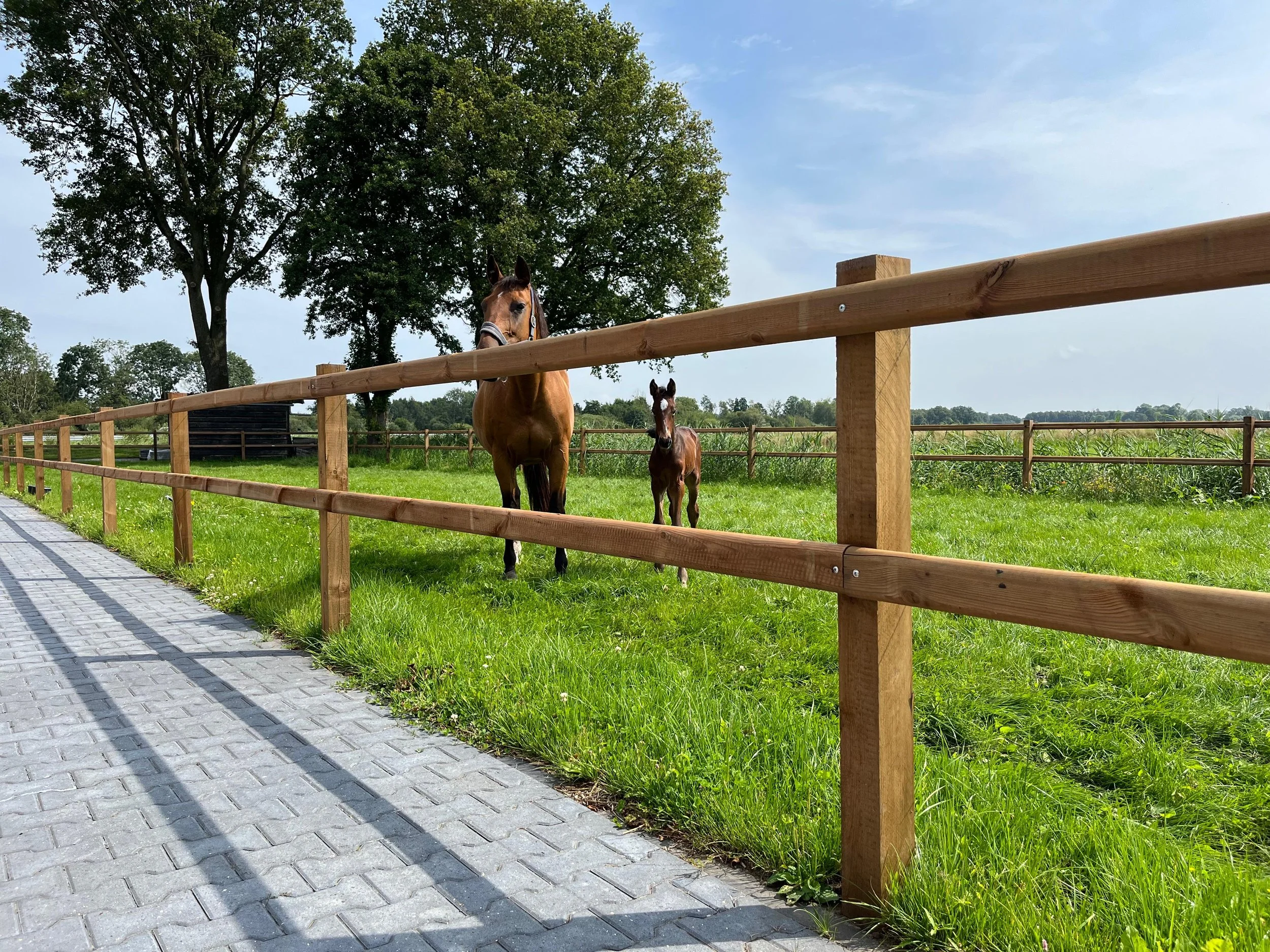 WhatsApp Image 2025-06-27 at 10.28.33.jpeg