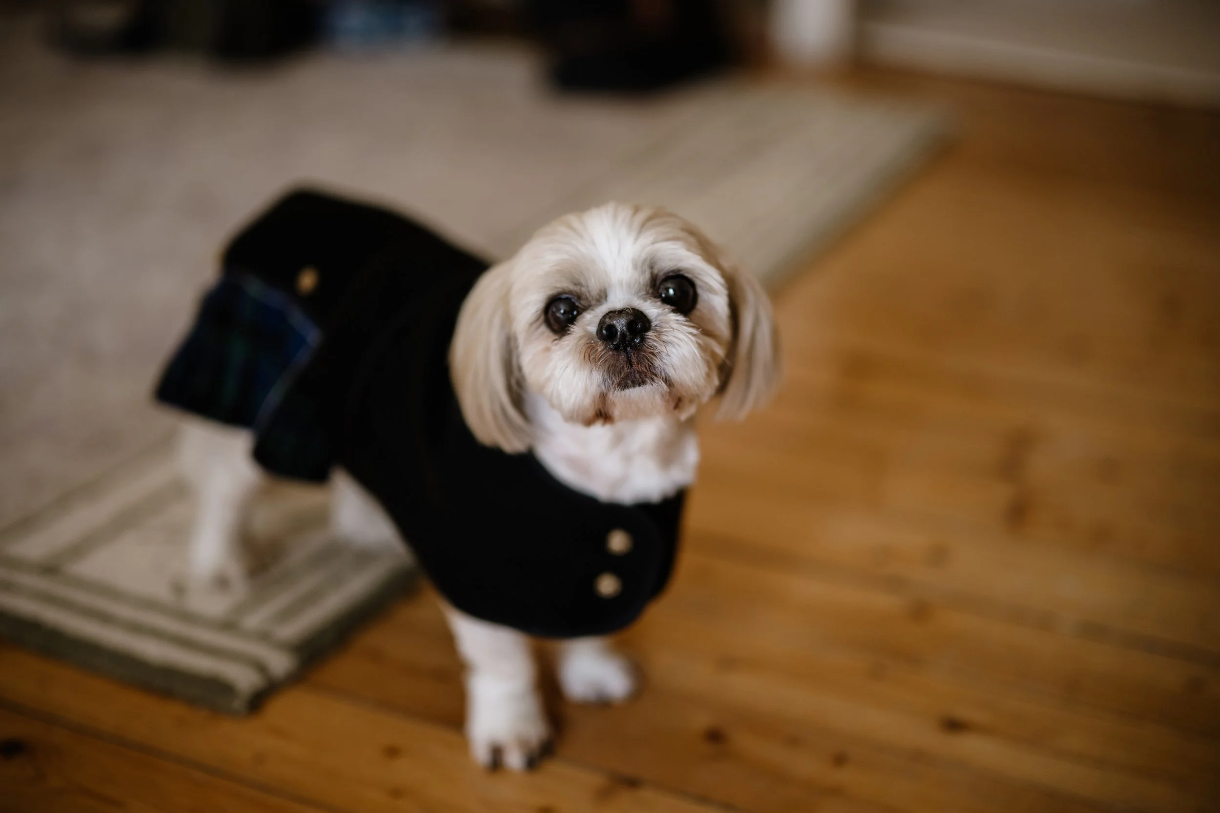 Megan ans Andrew Edits 0014.jpg