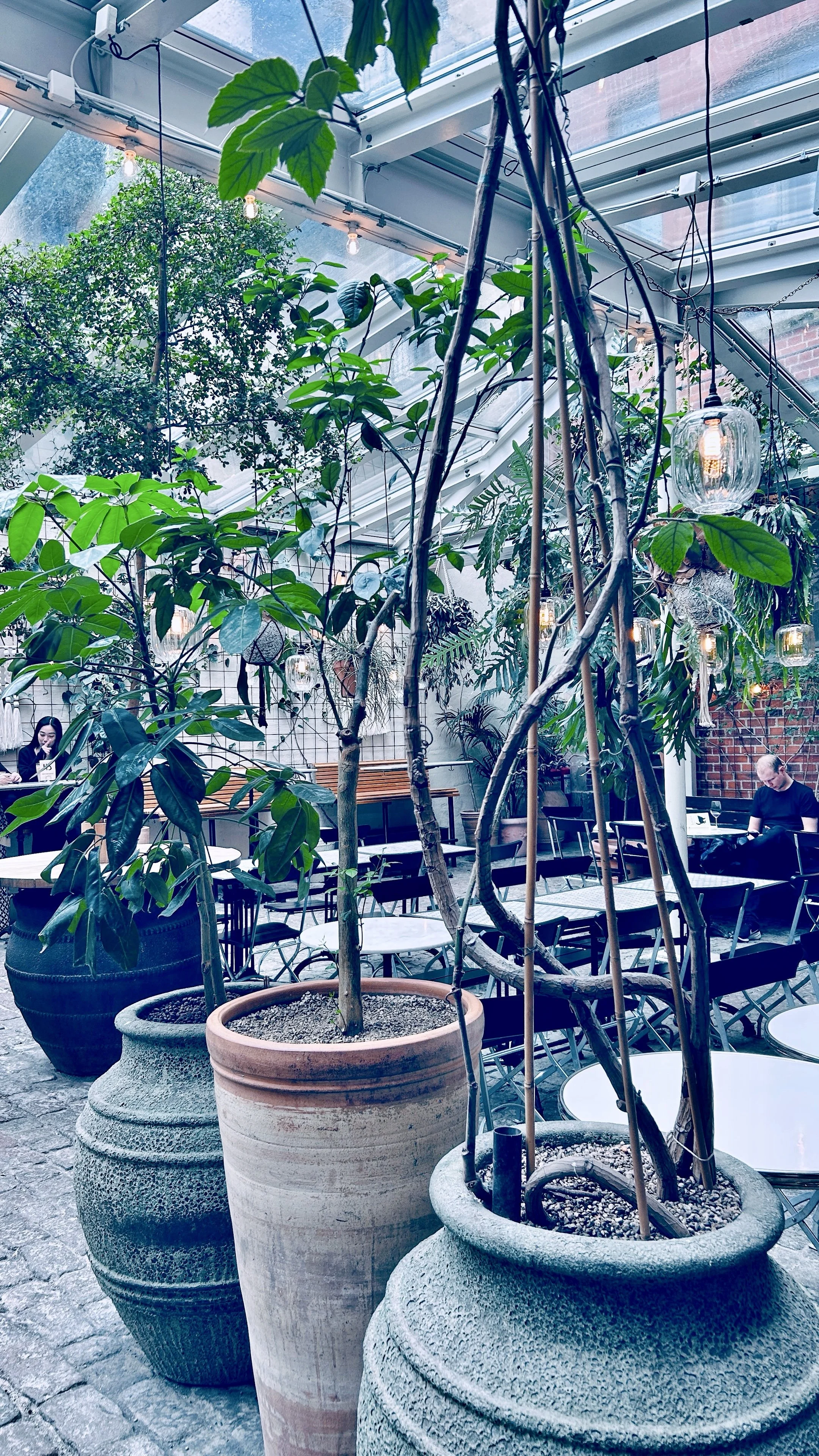 Kafé Magasinet 1.jpg