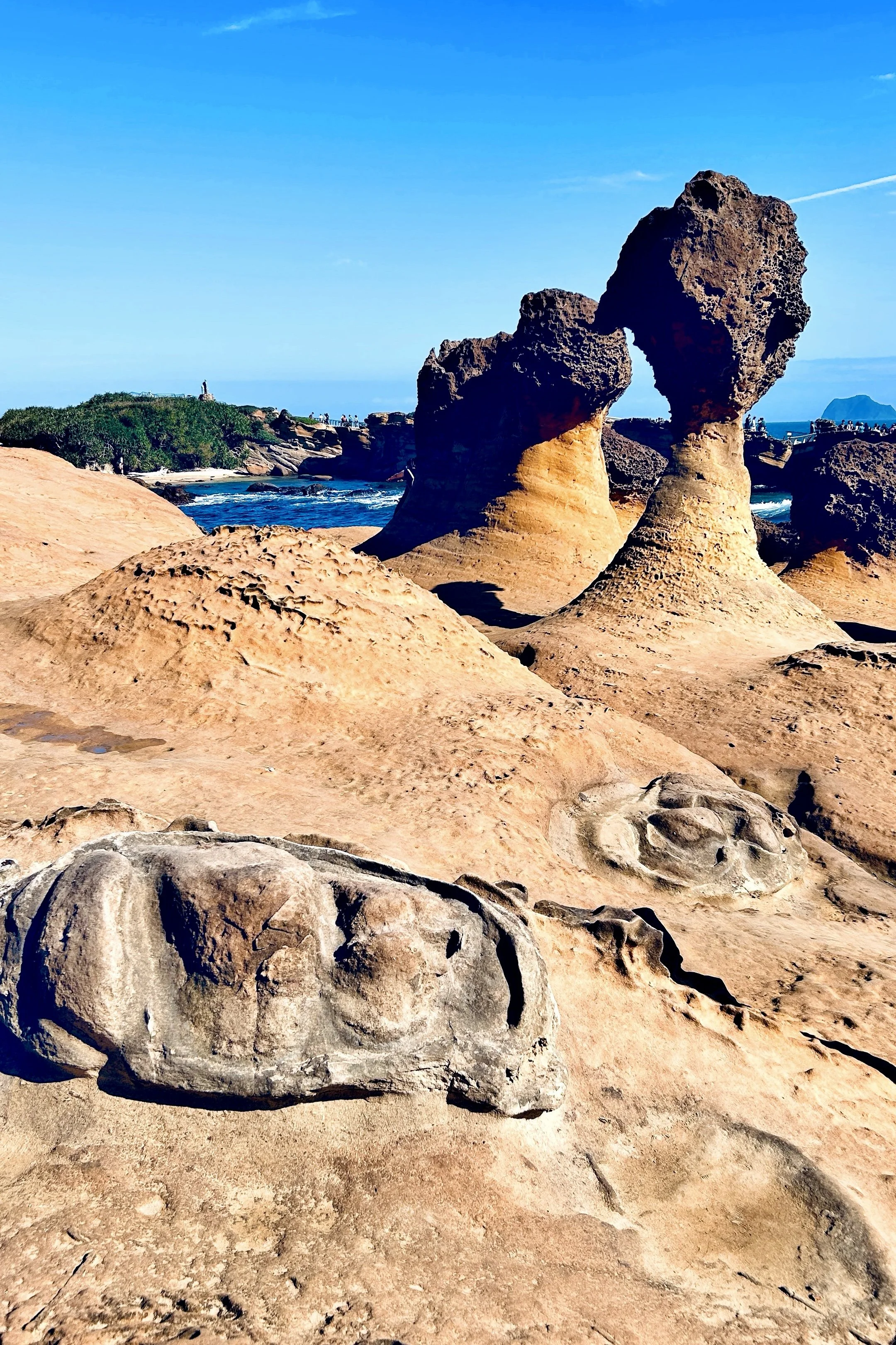陆景4.jpg