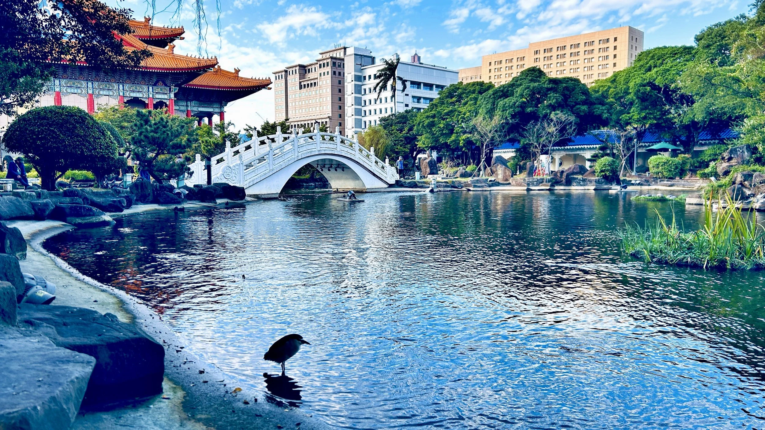 花园3.jpg