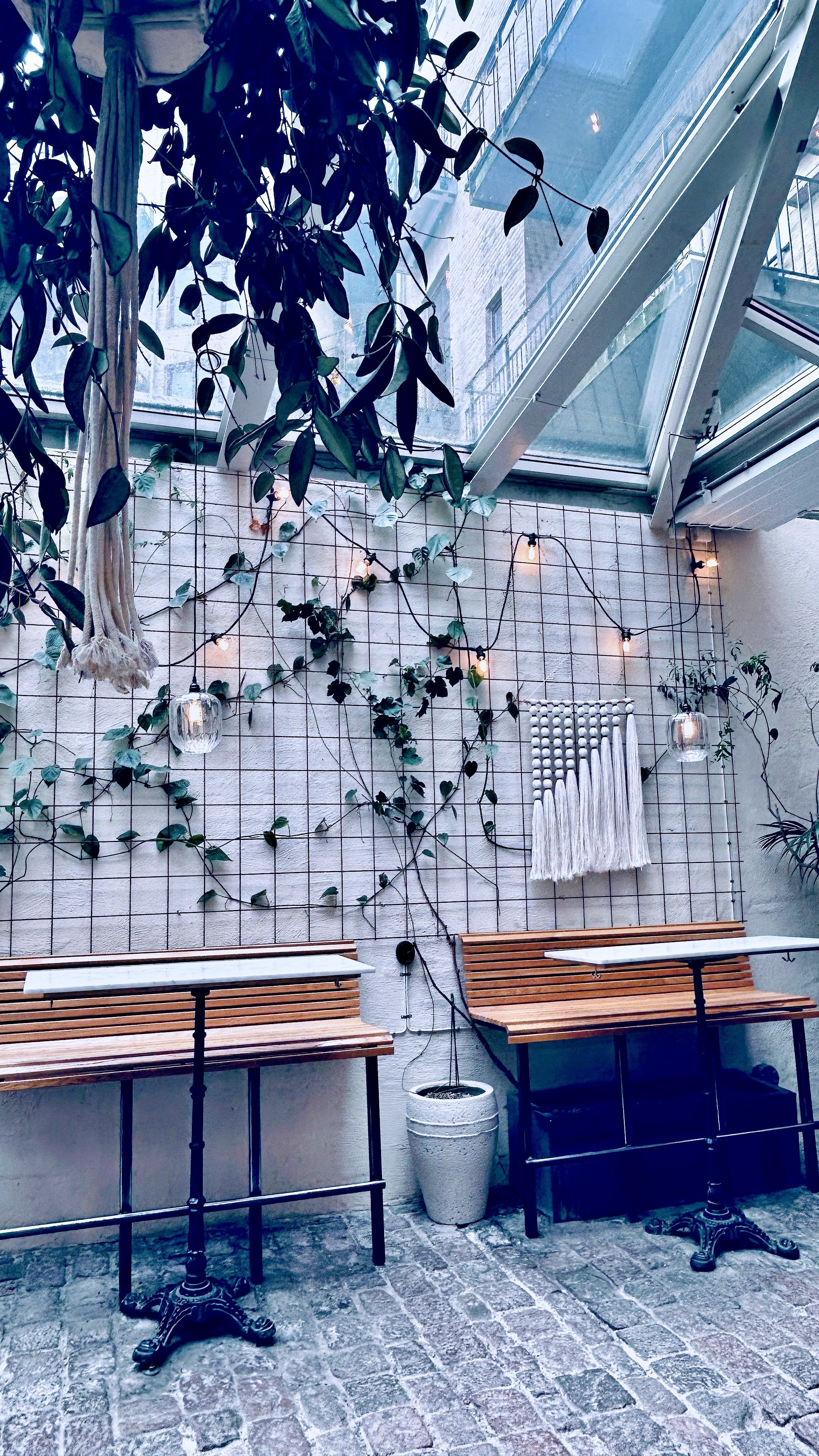 Kafé Magasinet 5.jpg