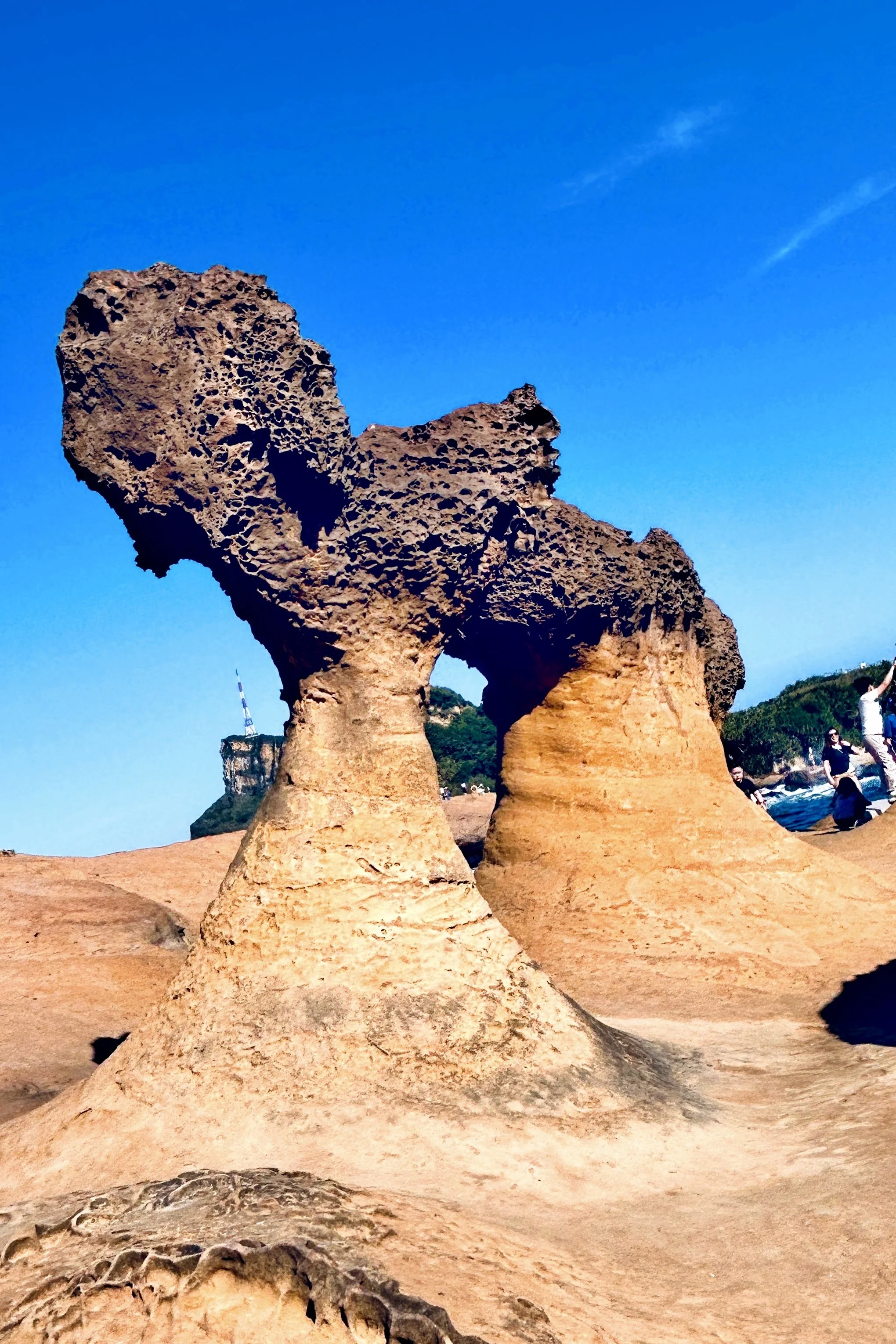 陆景1.jpg