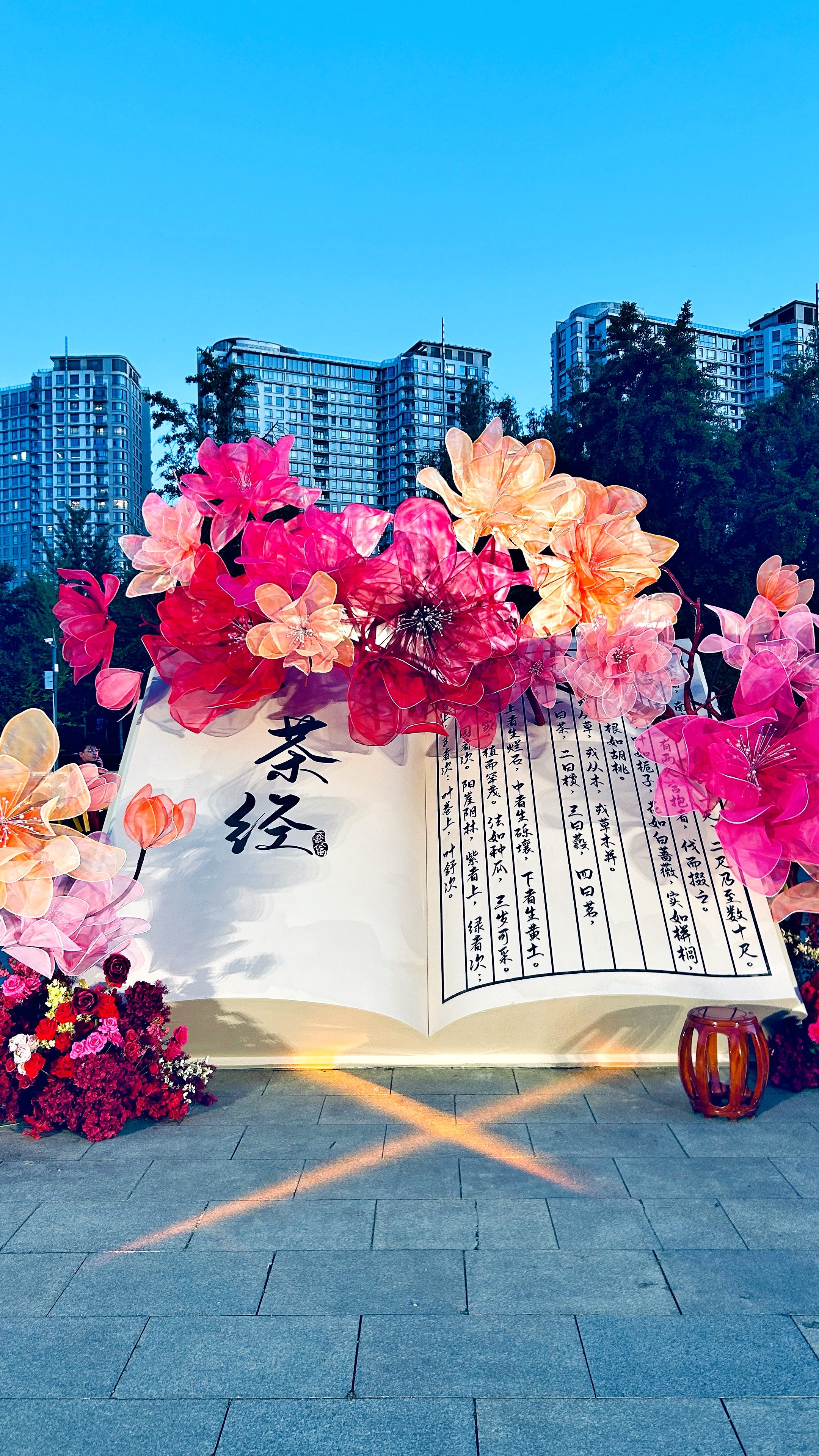 竖-茶经.JPG