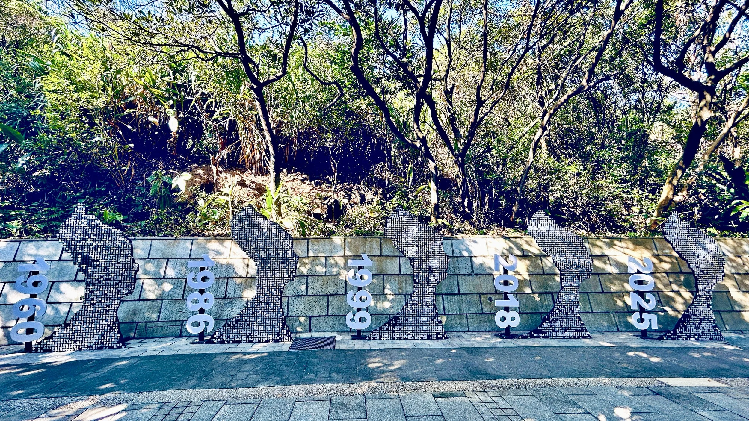五年比较.jpg