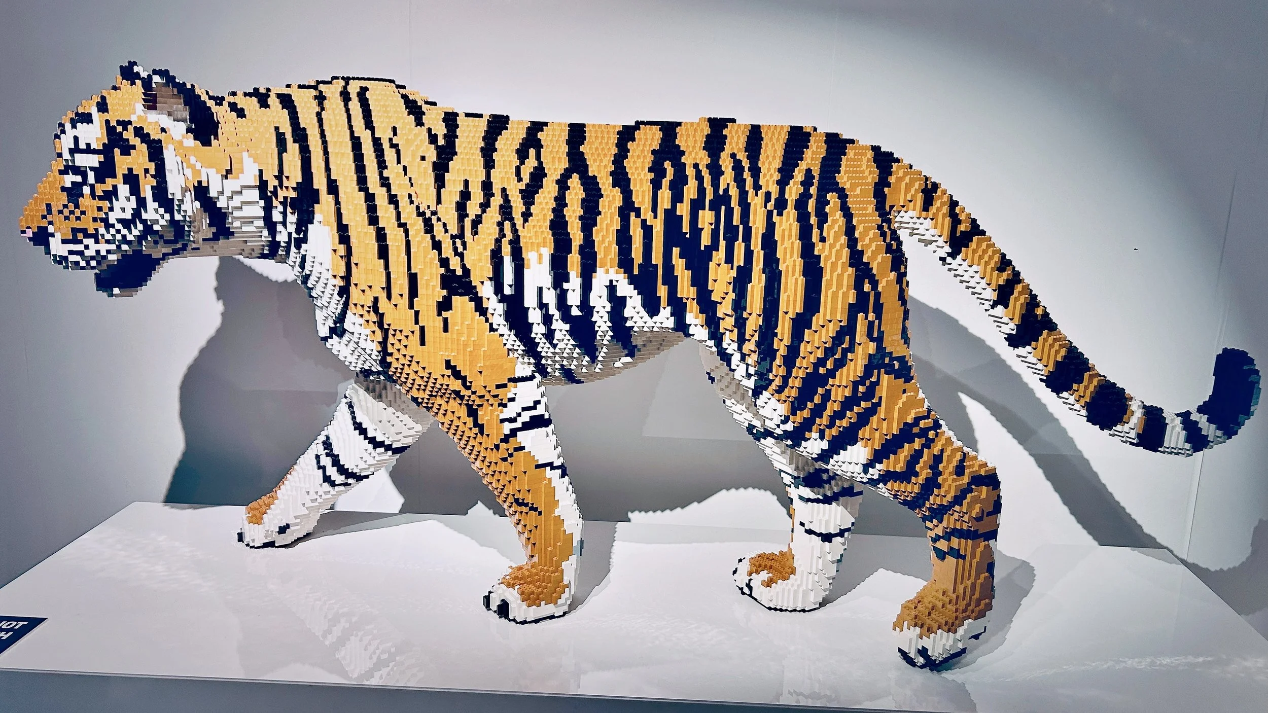 lego 4.jpg