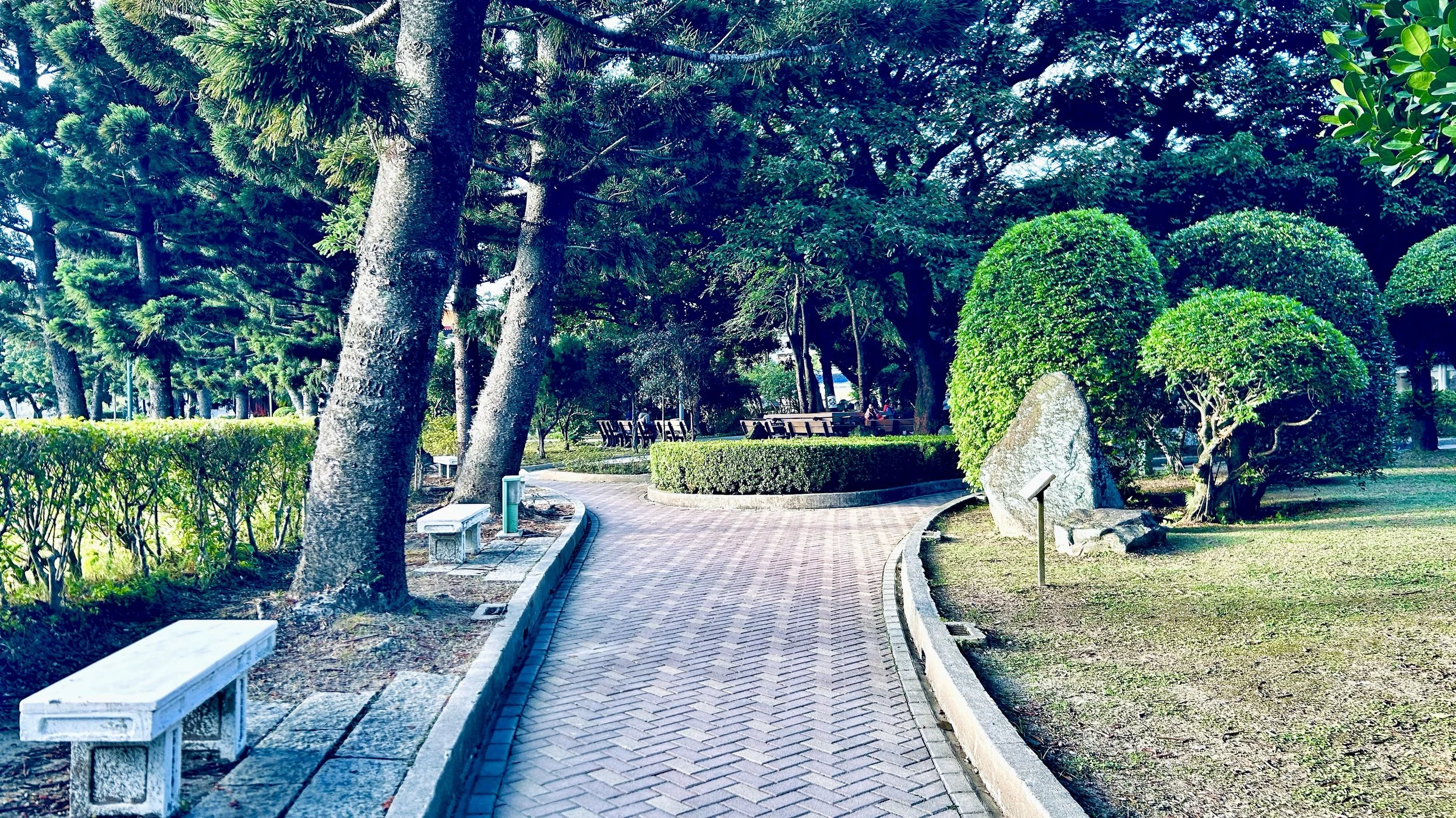 花园1.jpg