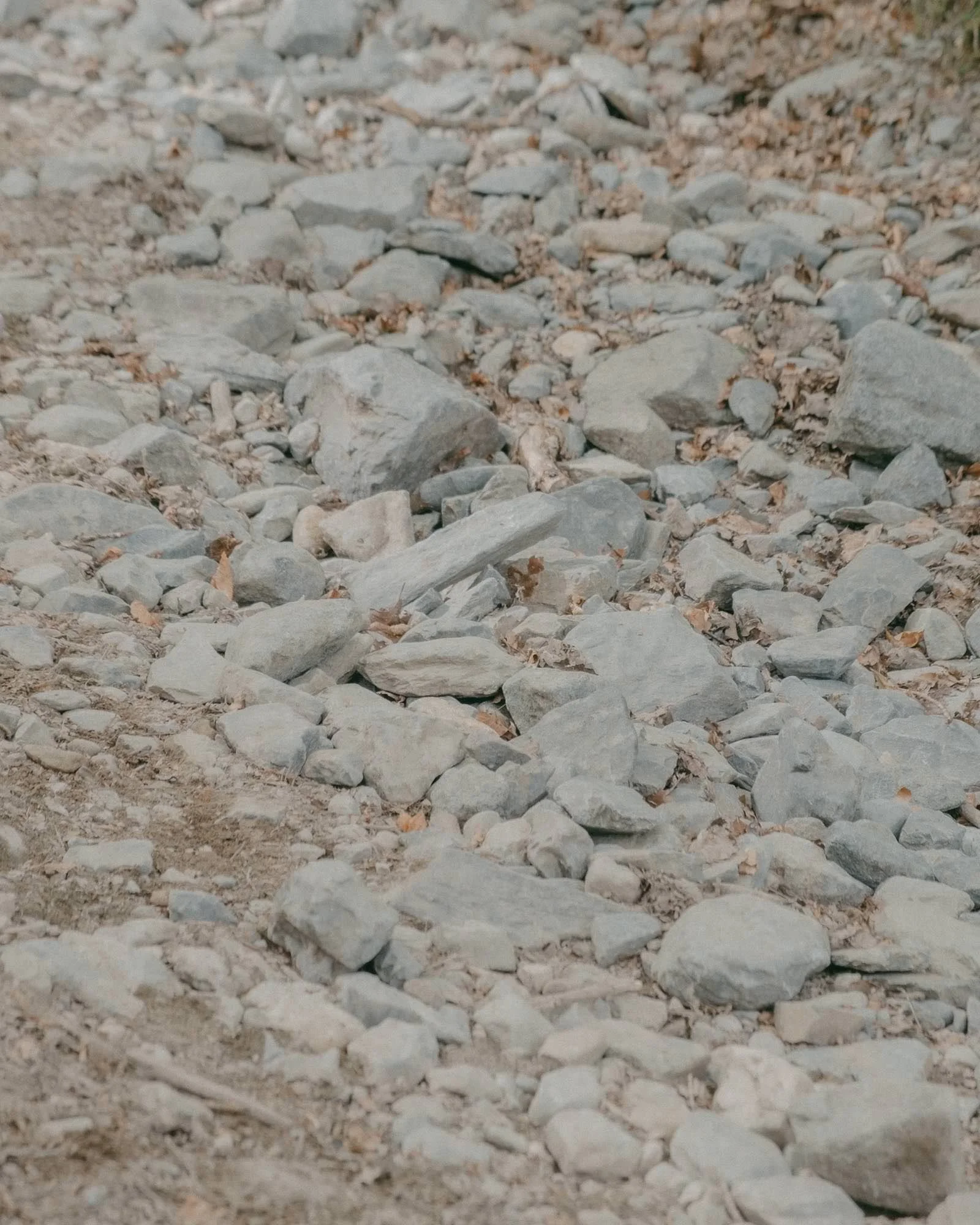 Gravel Rally 2025 133.jpg