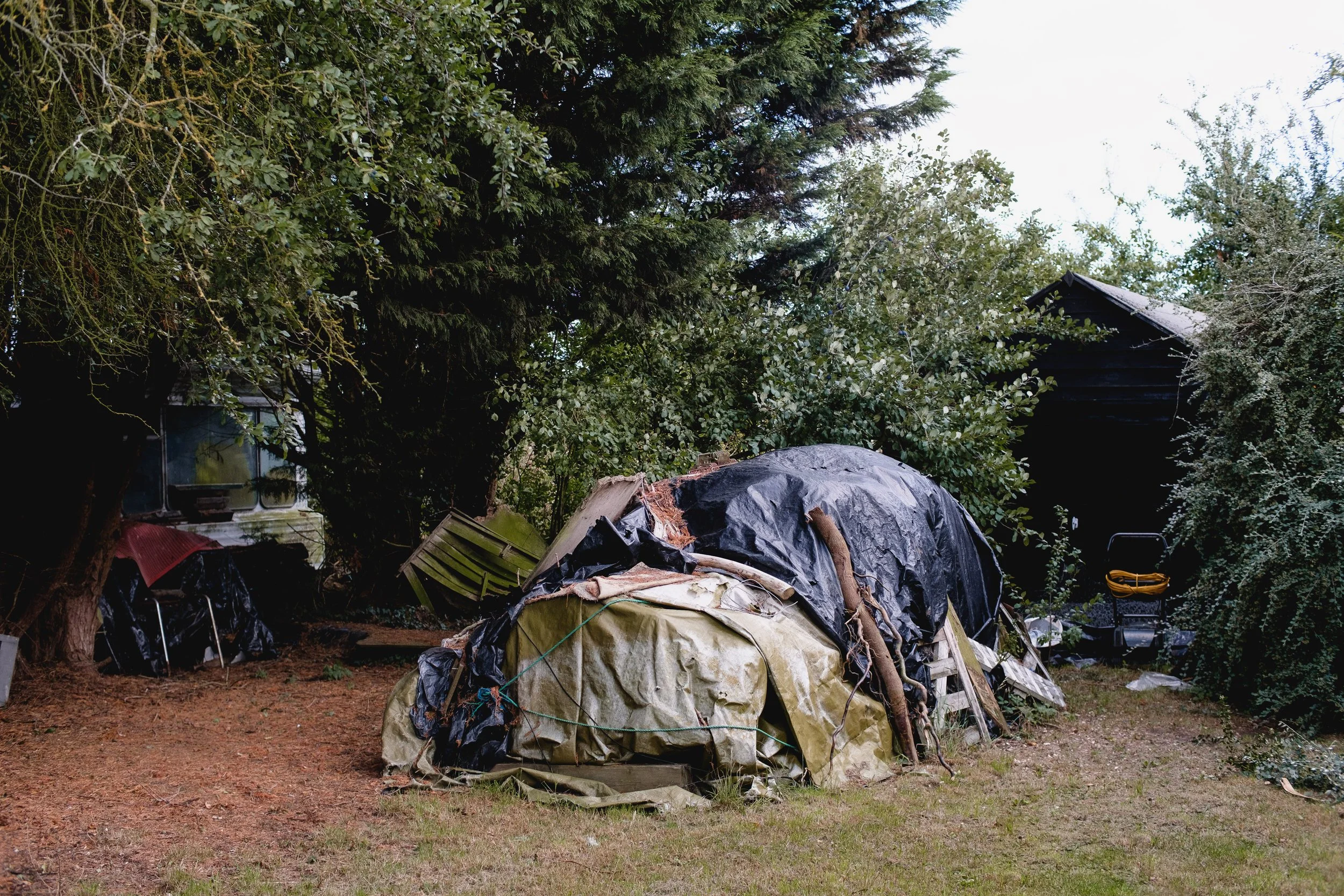 DSCF0230.jpg
