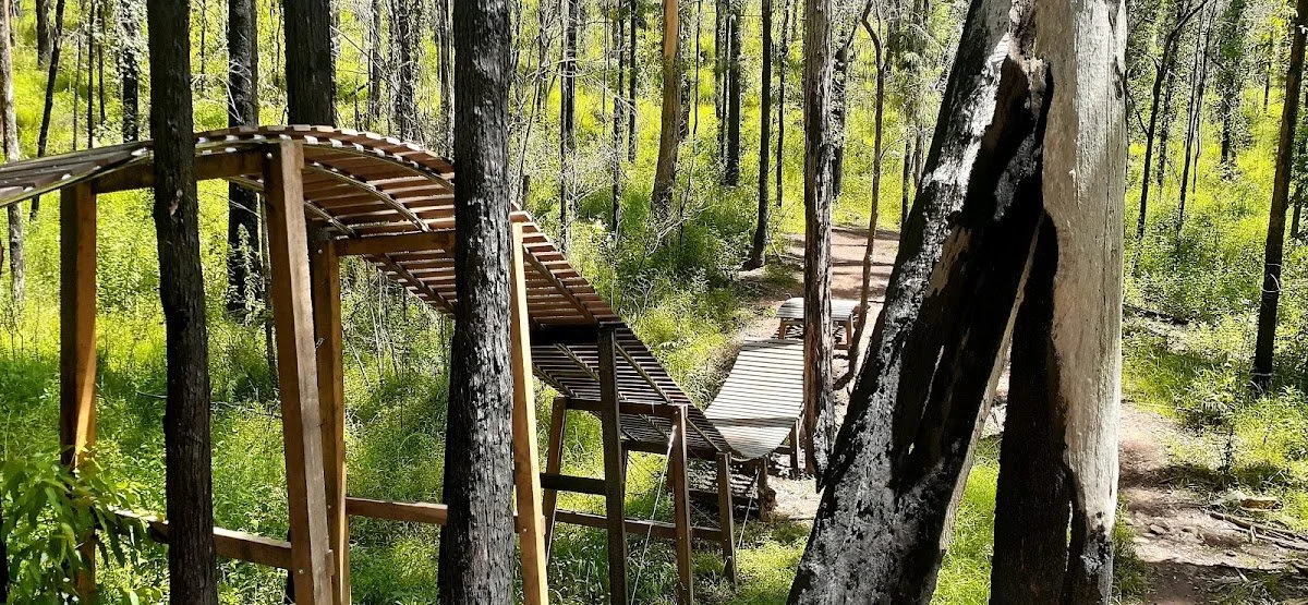  Kiwarrak Mountain Bike Park.jpeg