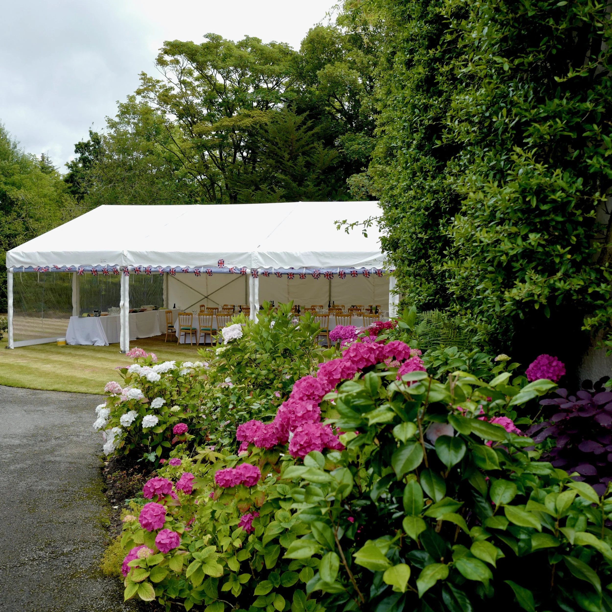 Wainwright Summer Garden Party