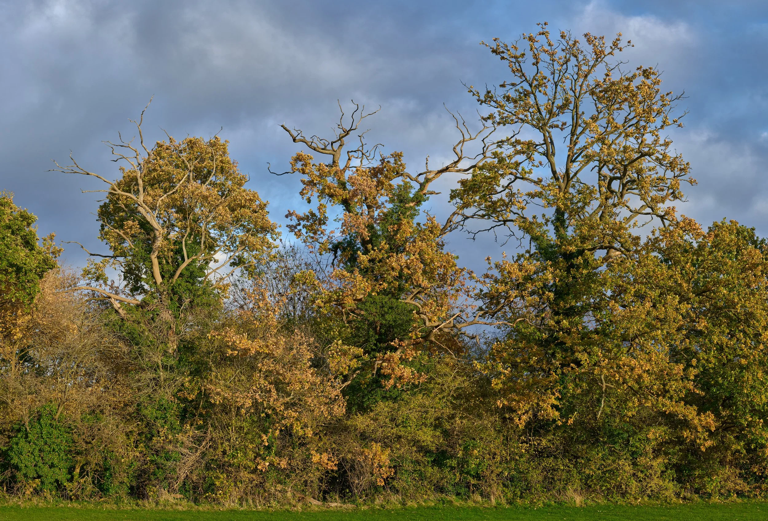 AAB04535_PanoramaTIFF 1.jpg