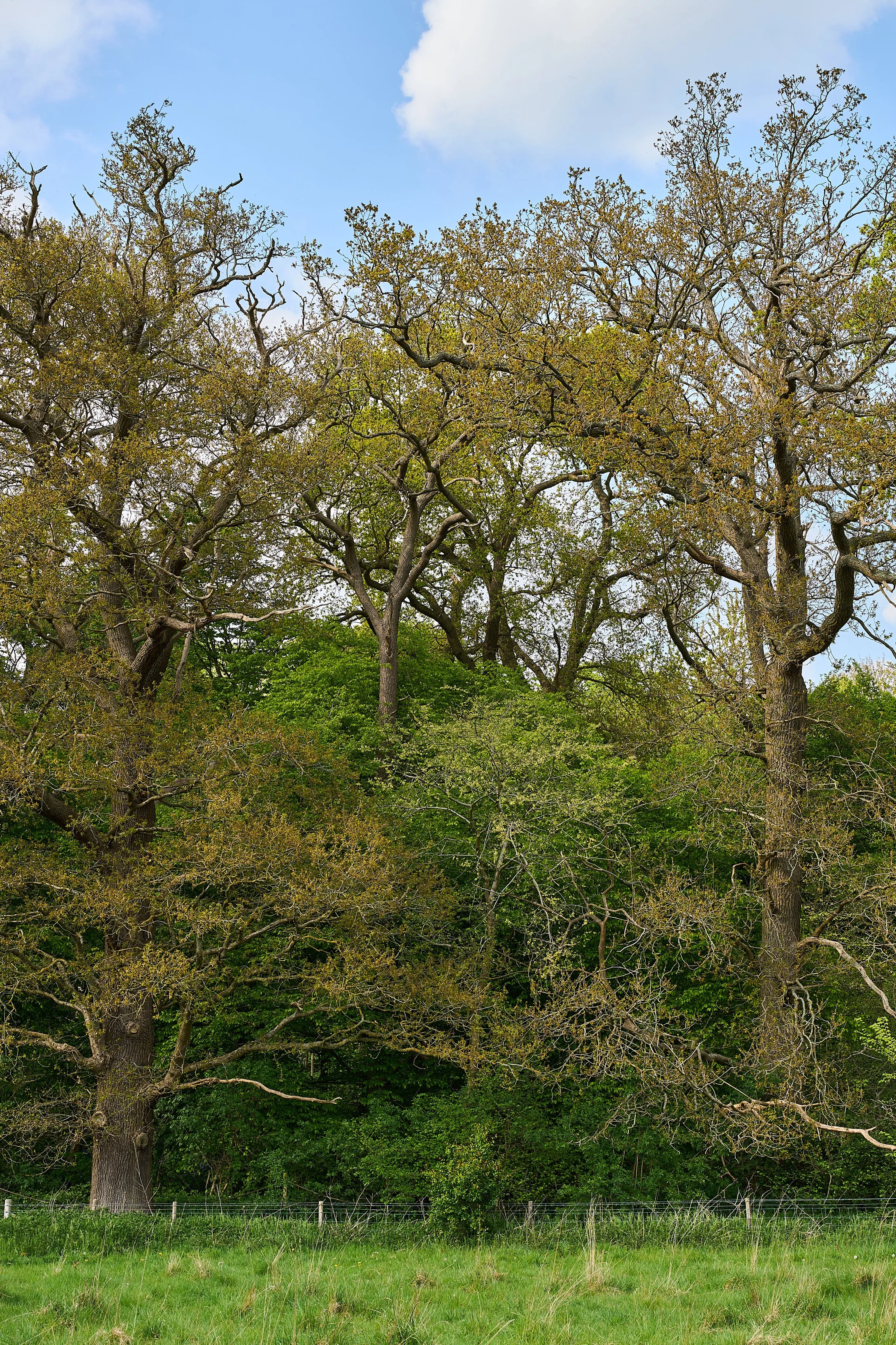 DSC07177.jpg
