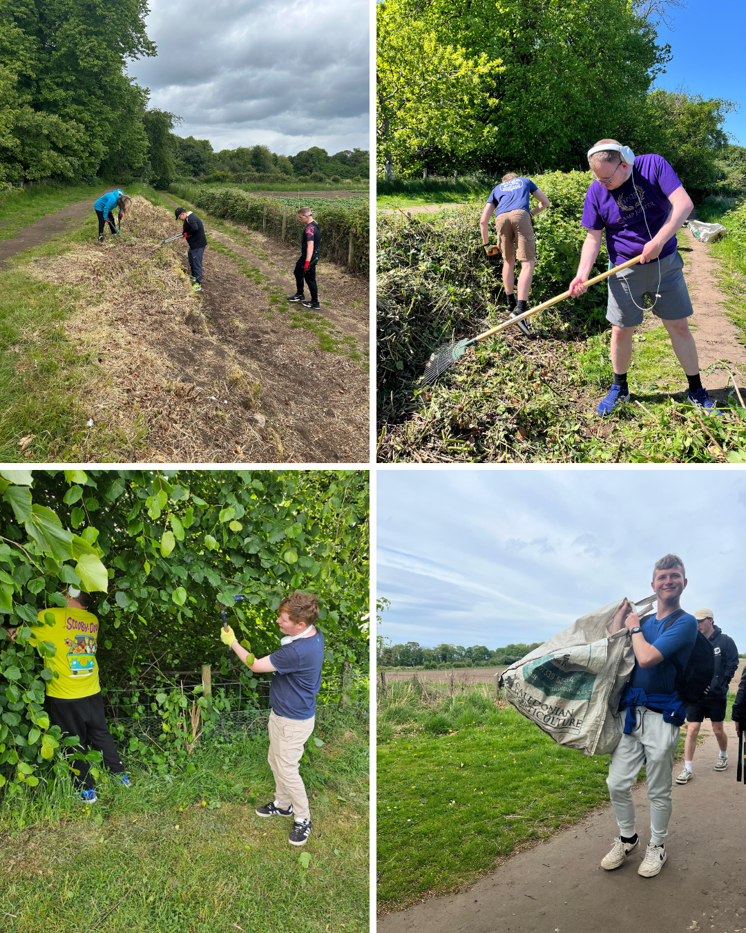 People engaged in outdoor community activities such as gardening, planting, and cleaning in natural and park settings.
