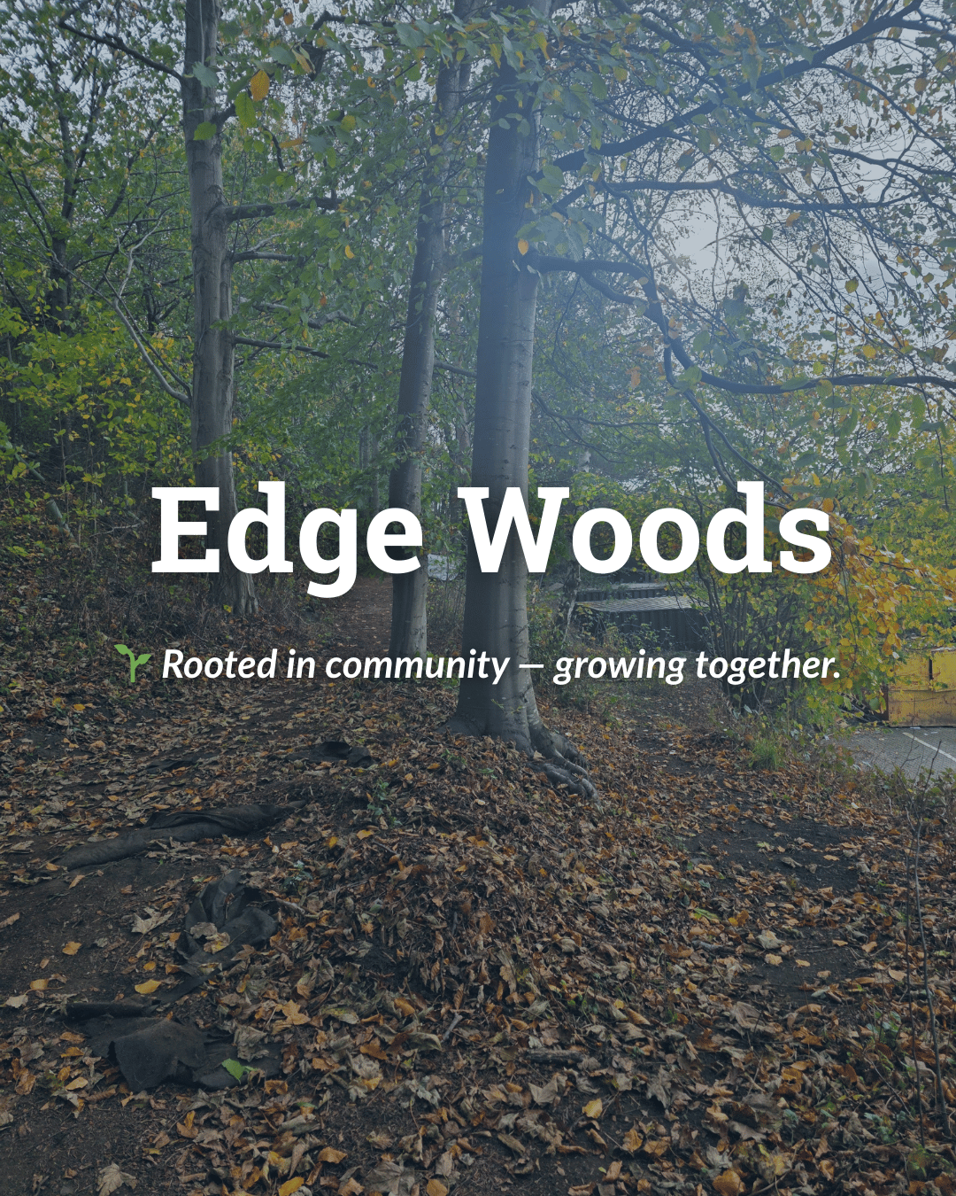 A wooded trail with trees and fallen leaves, featuring overlaid text that reads 'Edge Woods' and 'Rooted in community — growing together.'