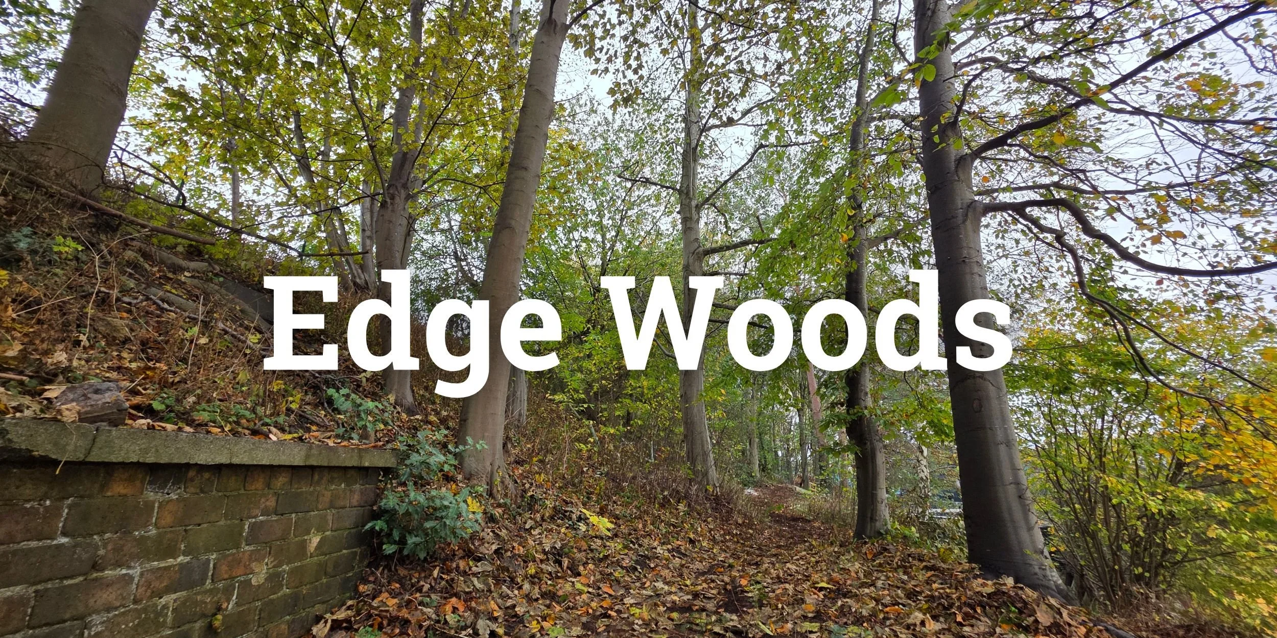 🌳 Edge Woods