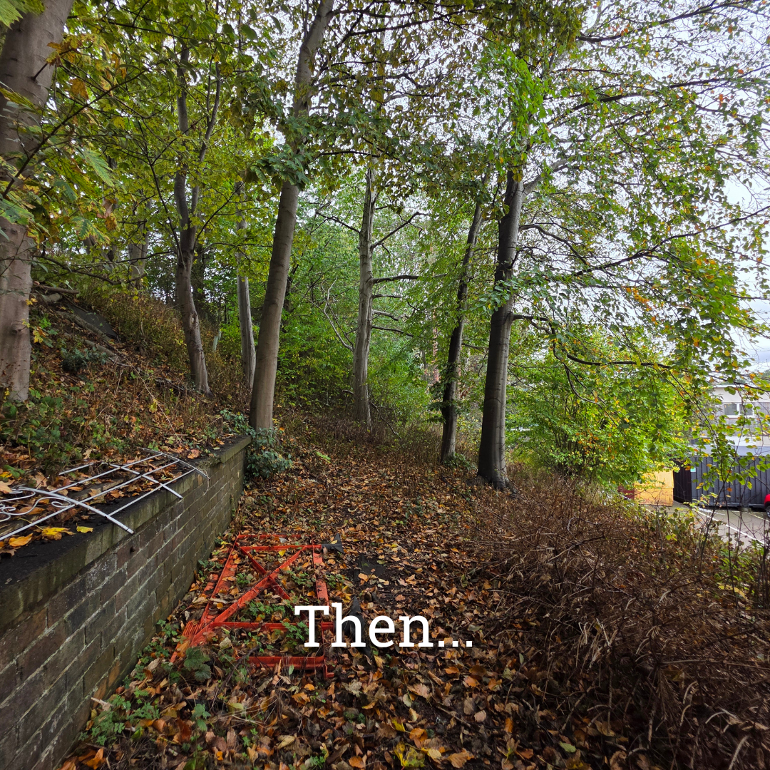 1 Year of Edge Woods 14.png