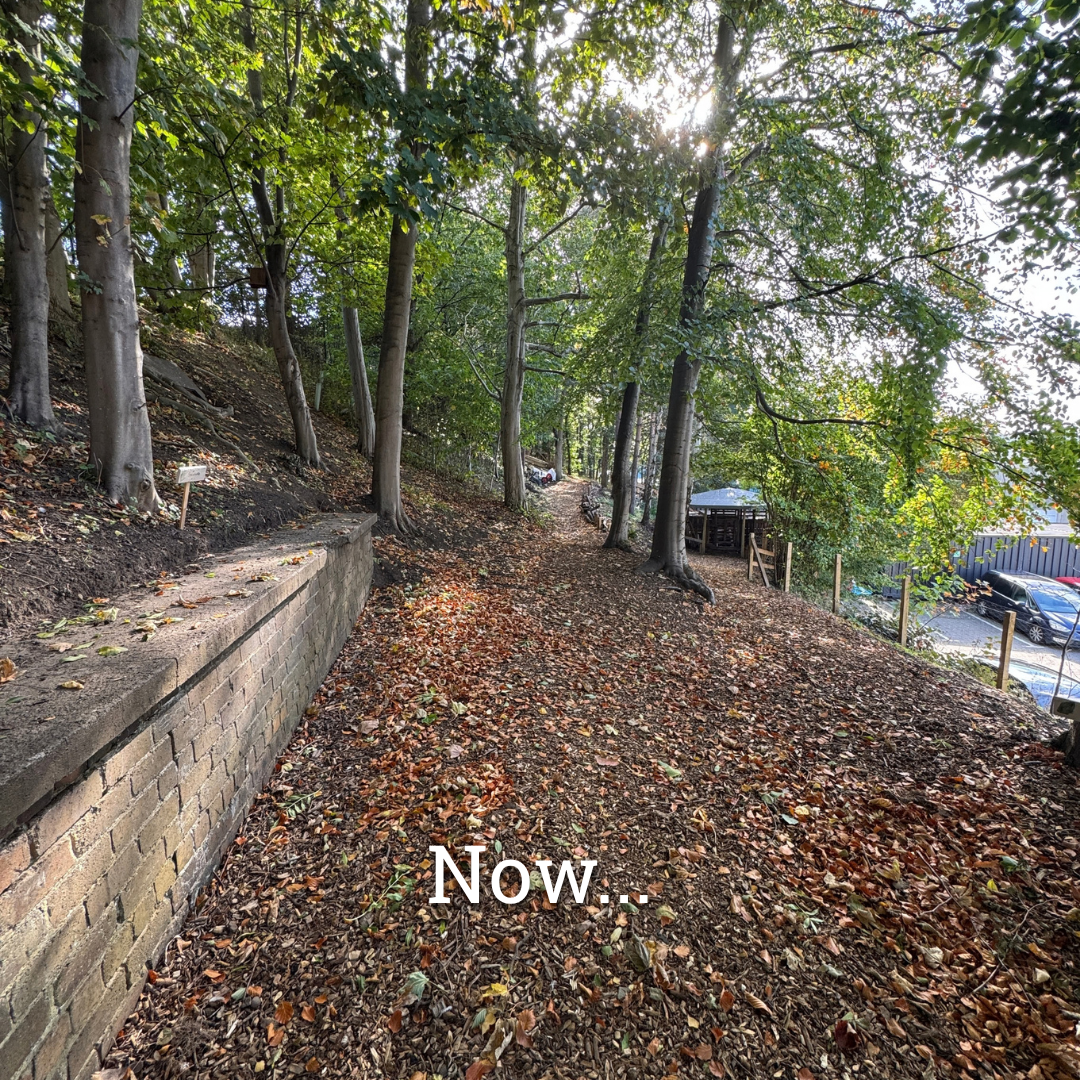 1 Year of Edge Woods 15.png