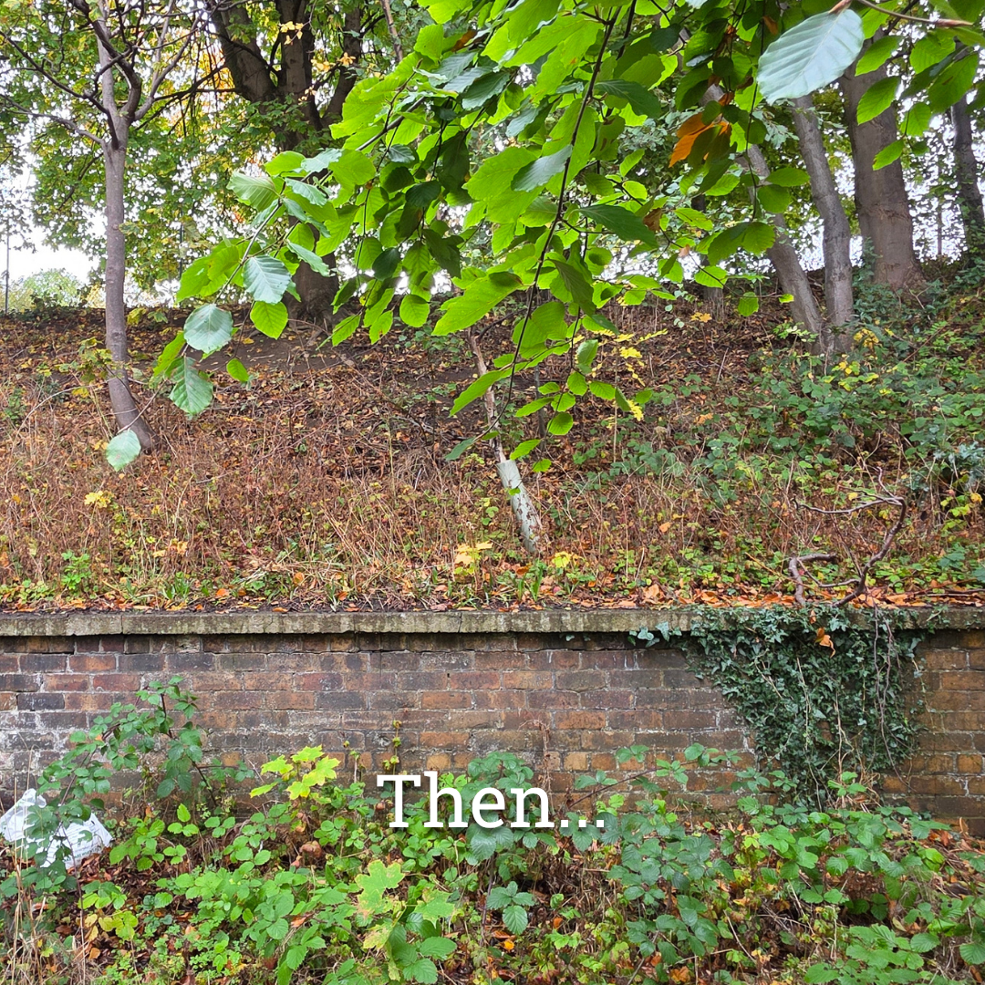 1 Year of Edge Woods 16.png