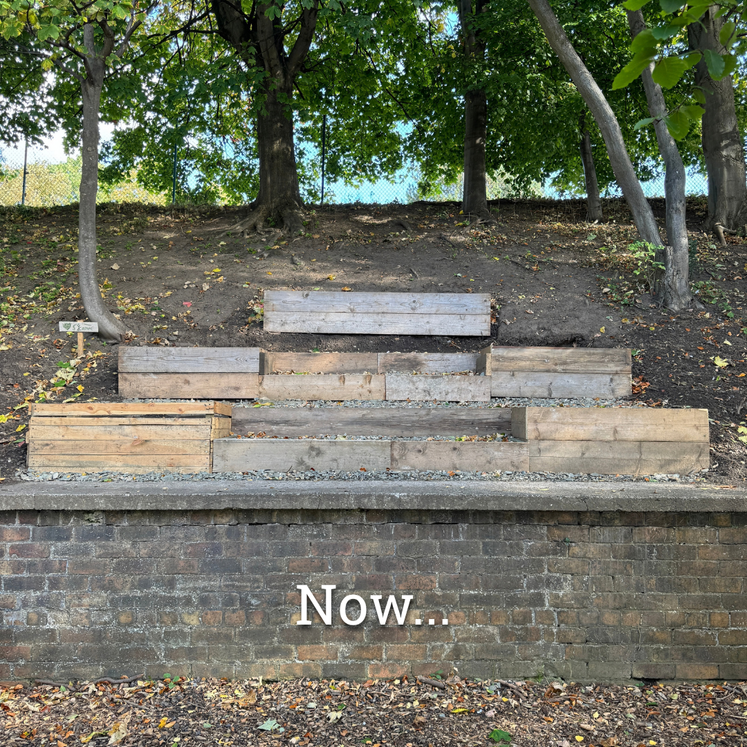 1 Year of Edge Woods 17.png