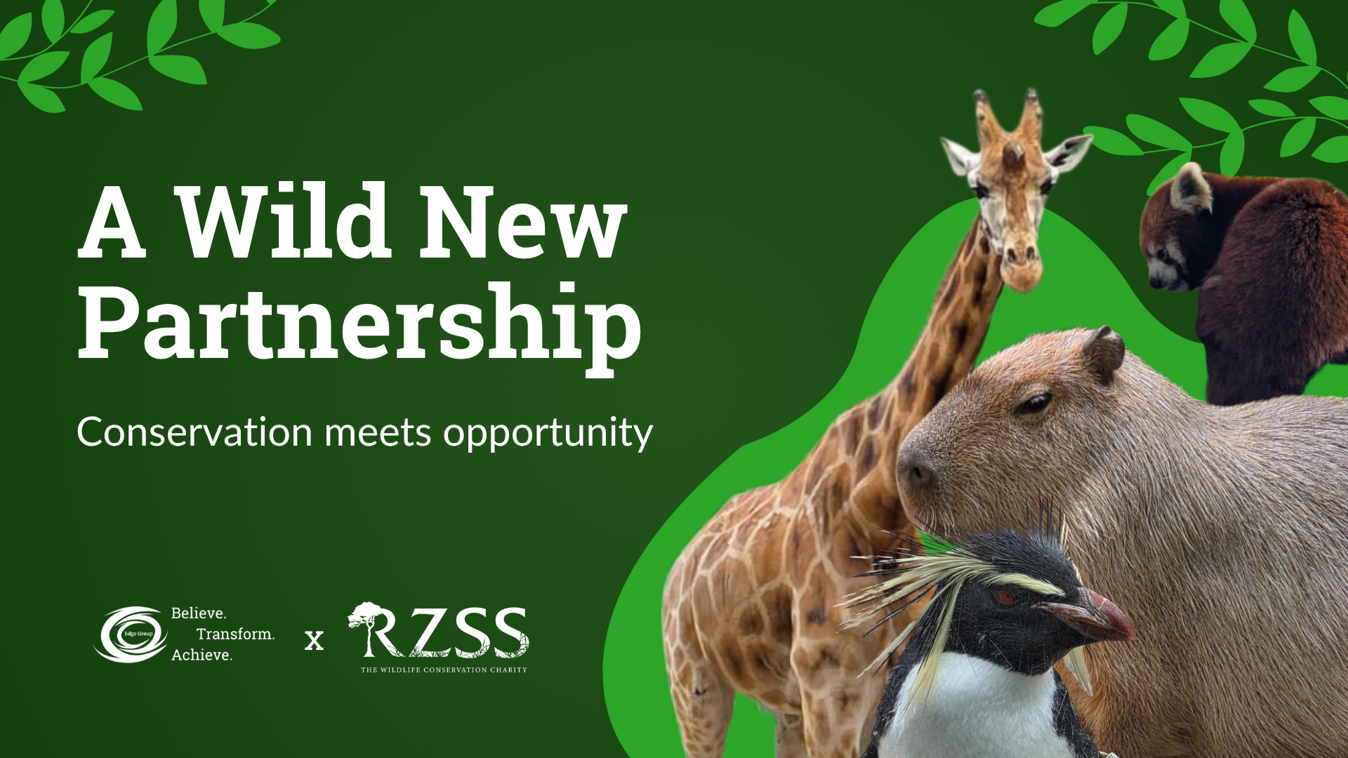 Conservation Meets Opportunity: Edge Group Scotland Announces New Partnership with RZSS Edinburgh Zoo 