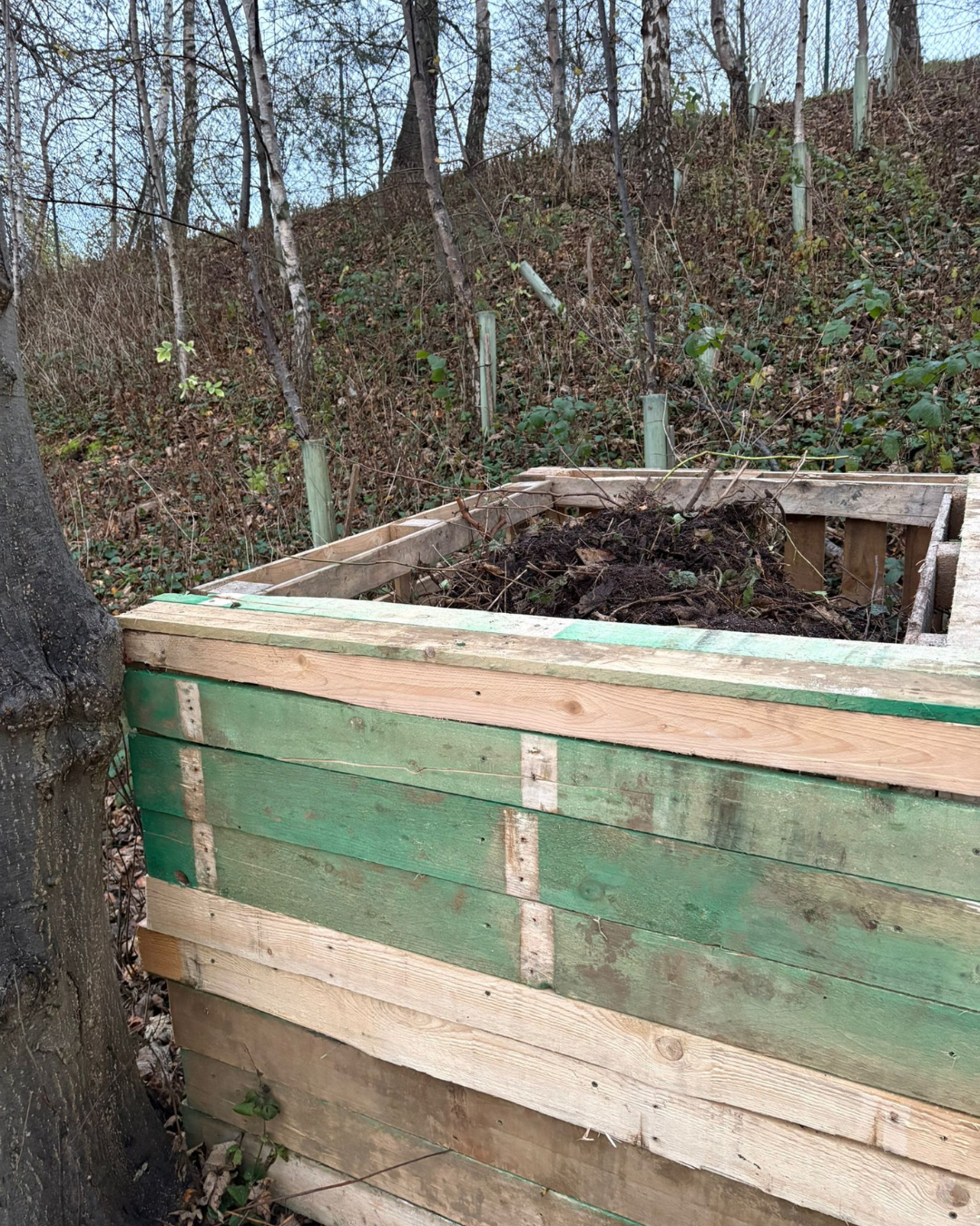 A wooden garden bed with dirt and plant debris inside, located outdoors among trees and a hill, with a fenced area in the background.