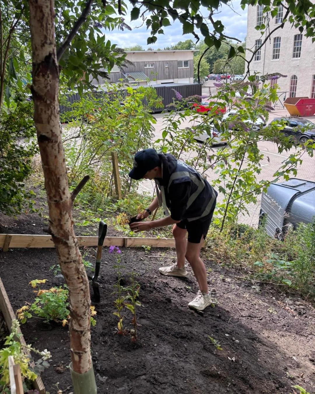 Edge Woods July 2026 Update 6.jpg