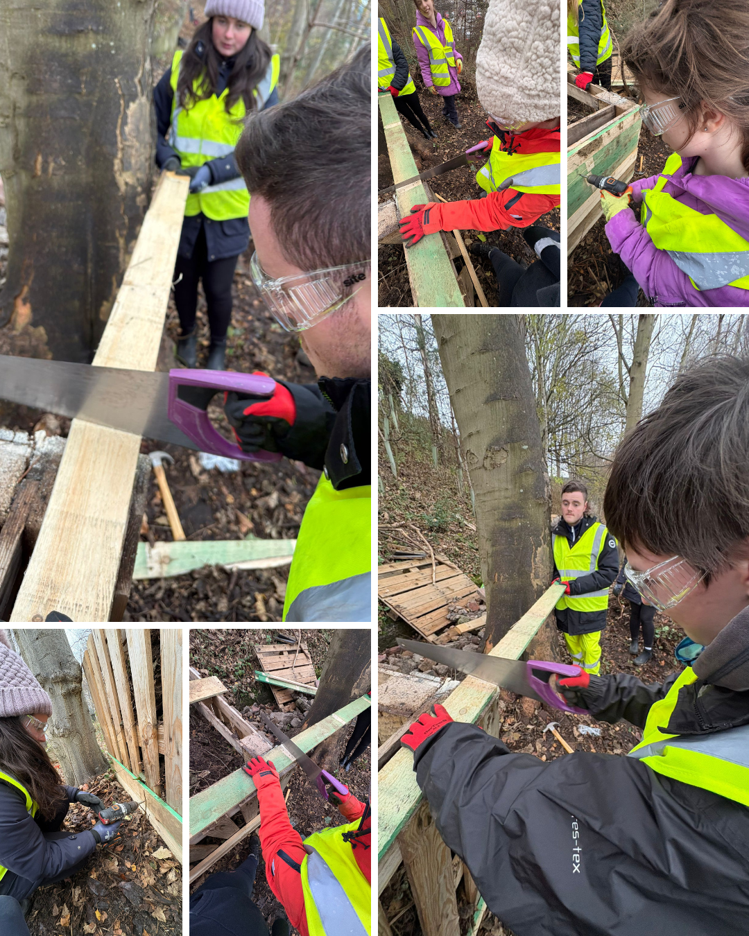 Group of people working outdoors in a forest, building a wooden structure or fence, wearing safety vests and gloves, using saws and power tools.